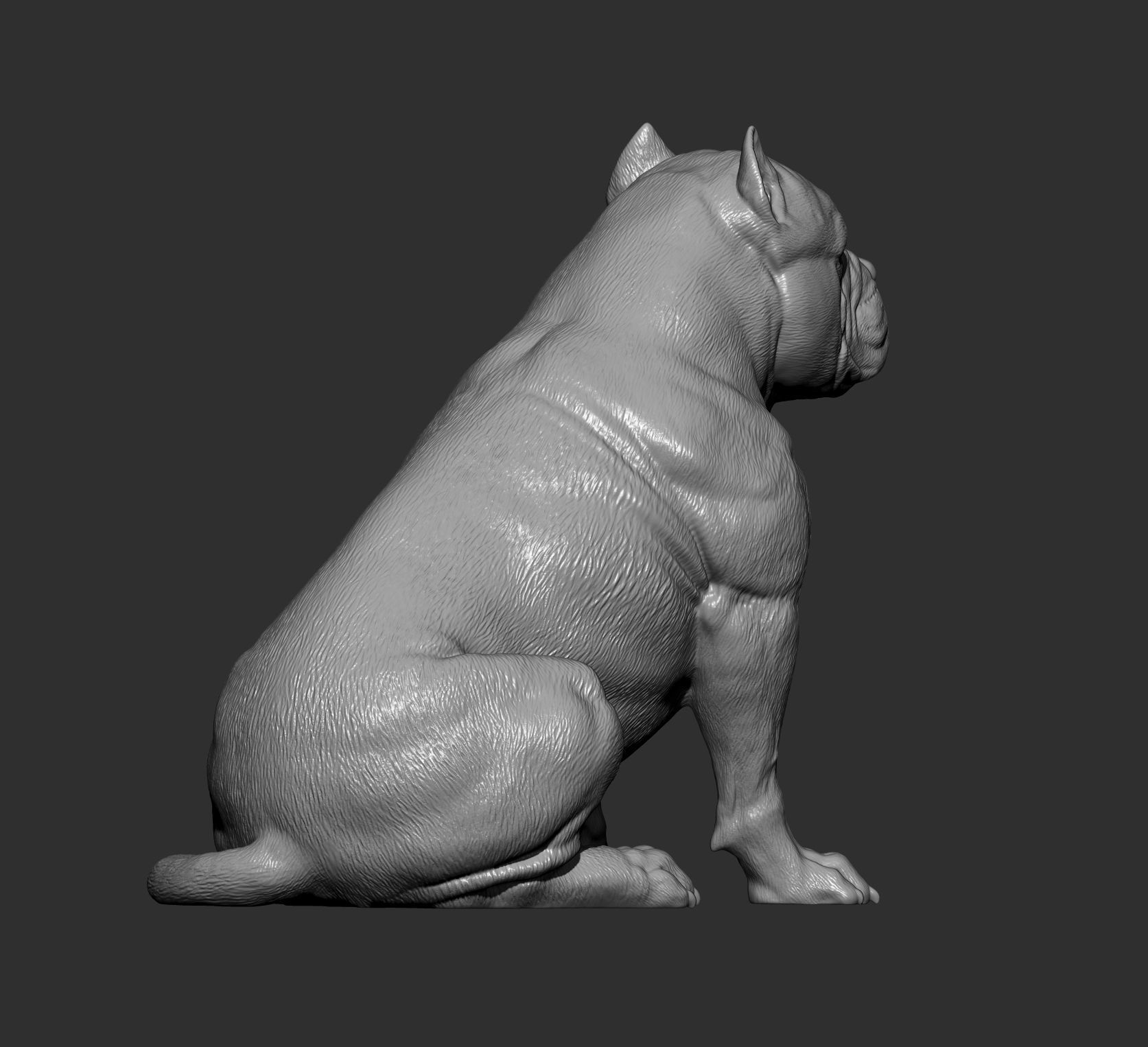 American Bully 3D print model_6