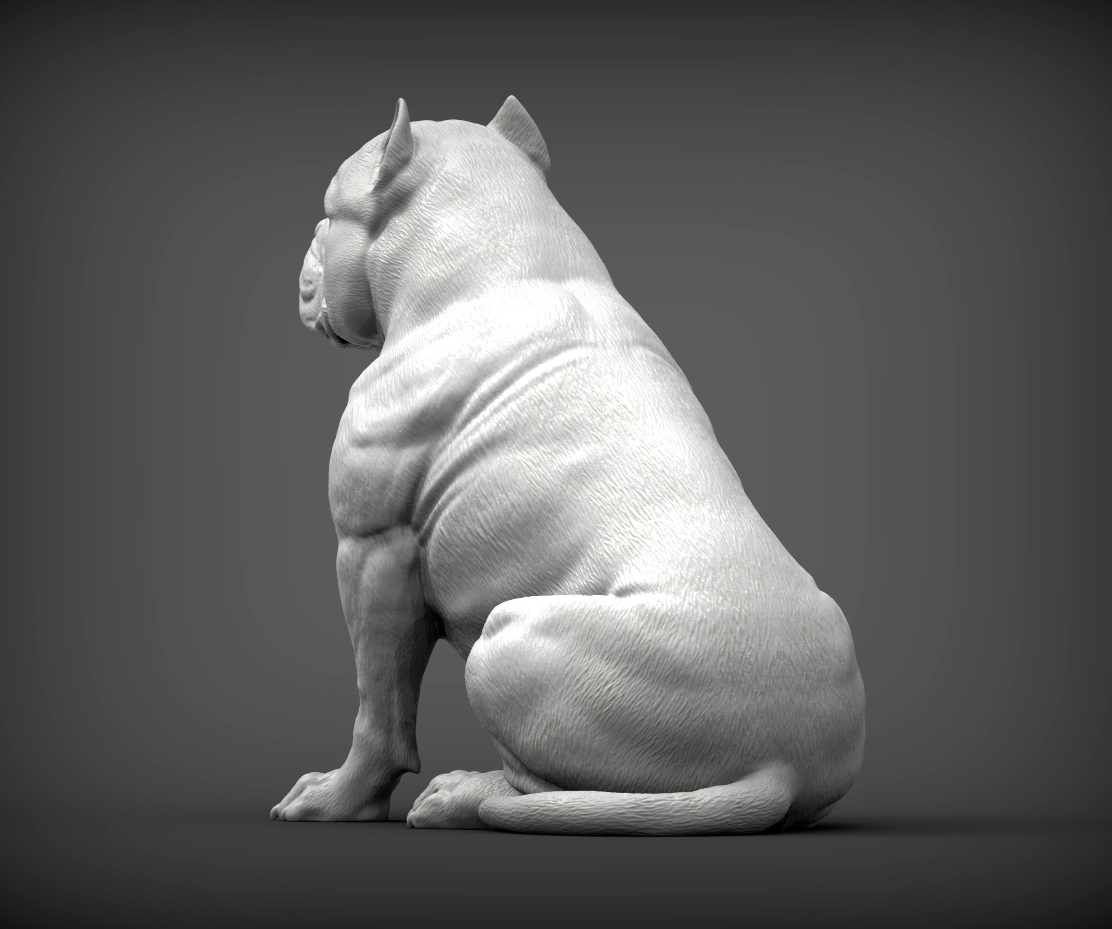 American Bully 3D print model_5
