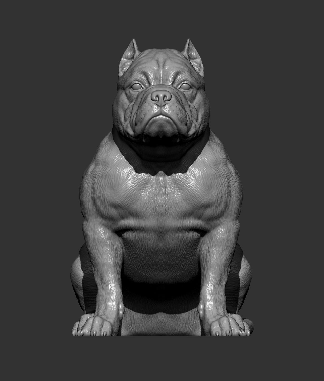 American Bully 3D print model_11