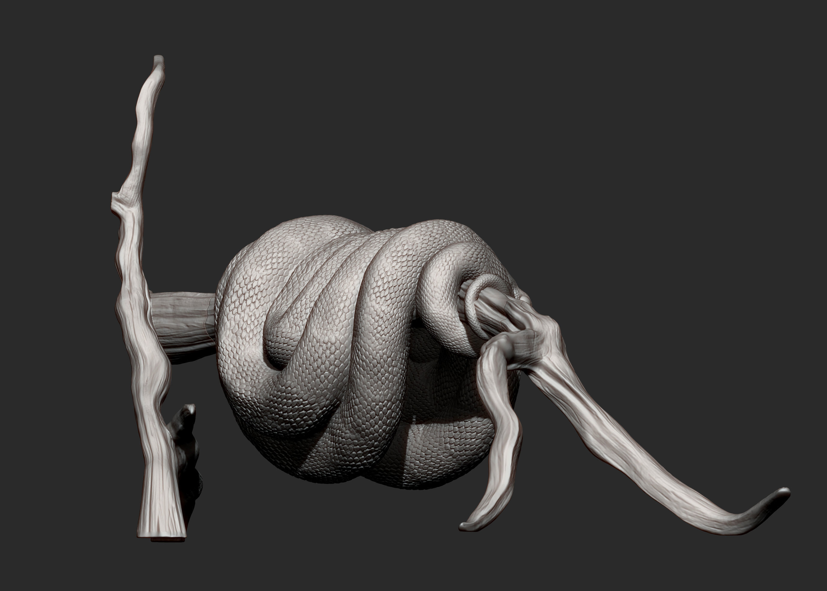 Green tree python  3D print model_11