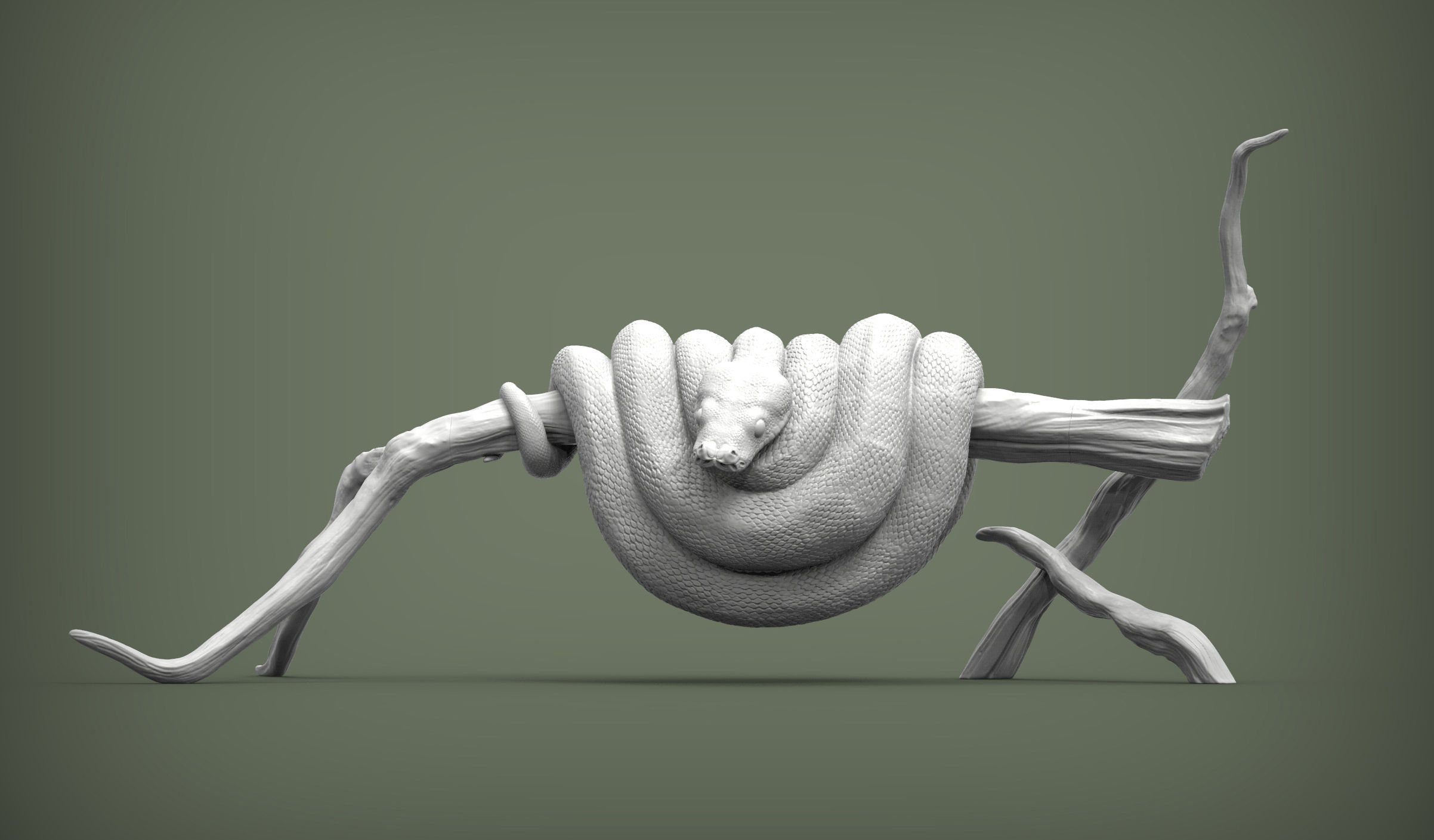 Green tree python  3D print model_6