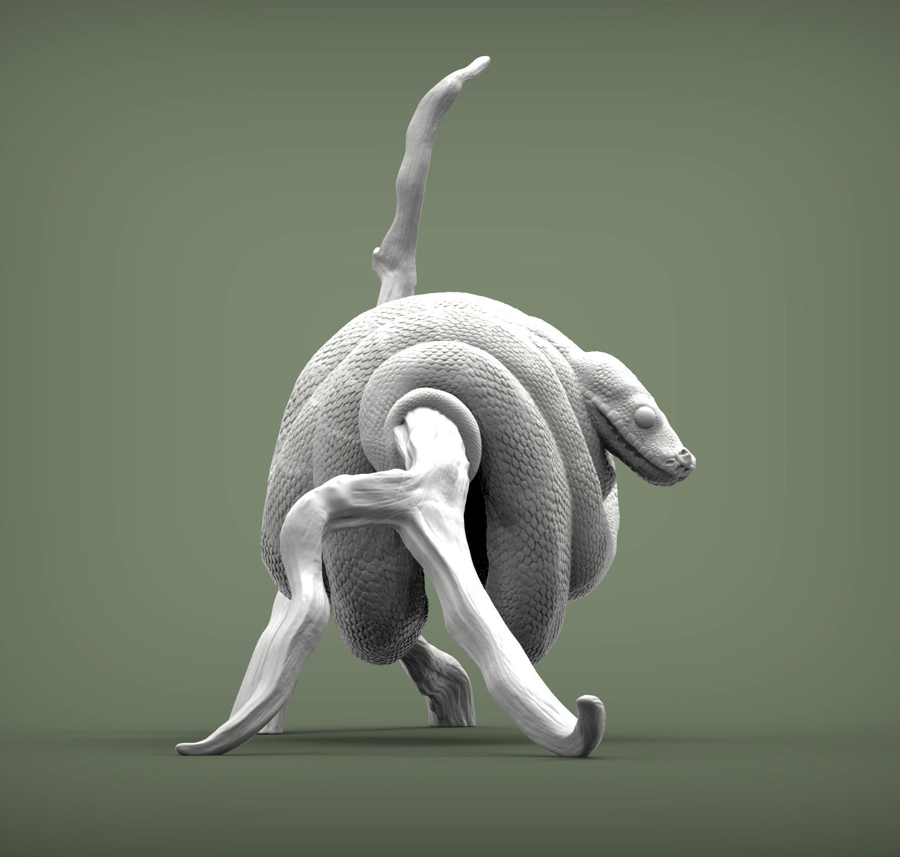 Green tree python  3D print model_5