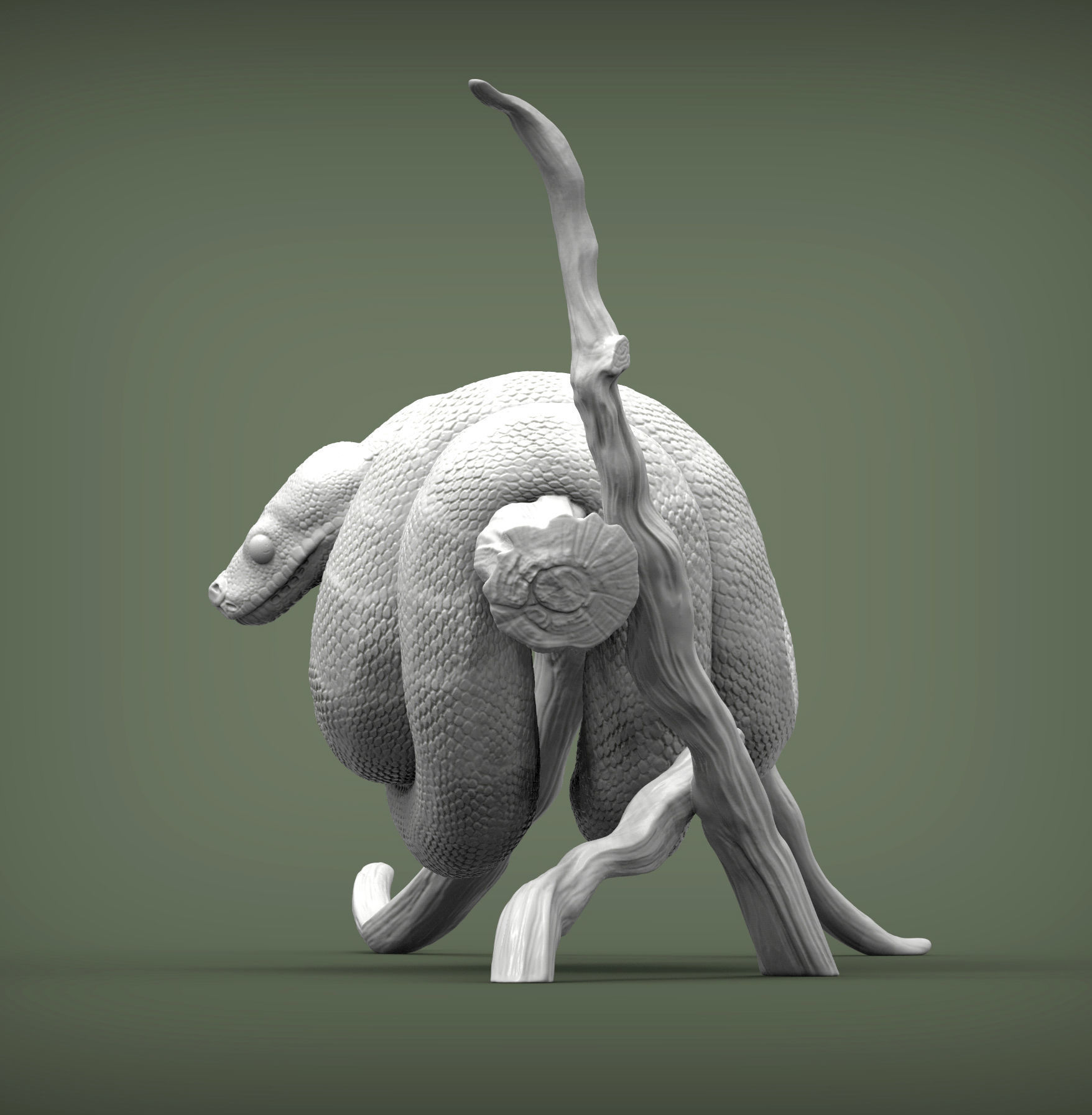 Green tree python  3D print model_4