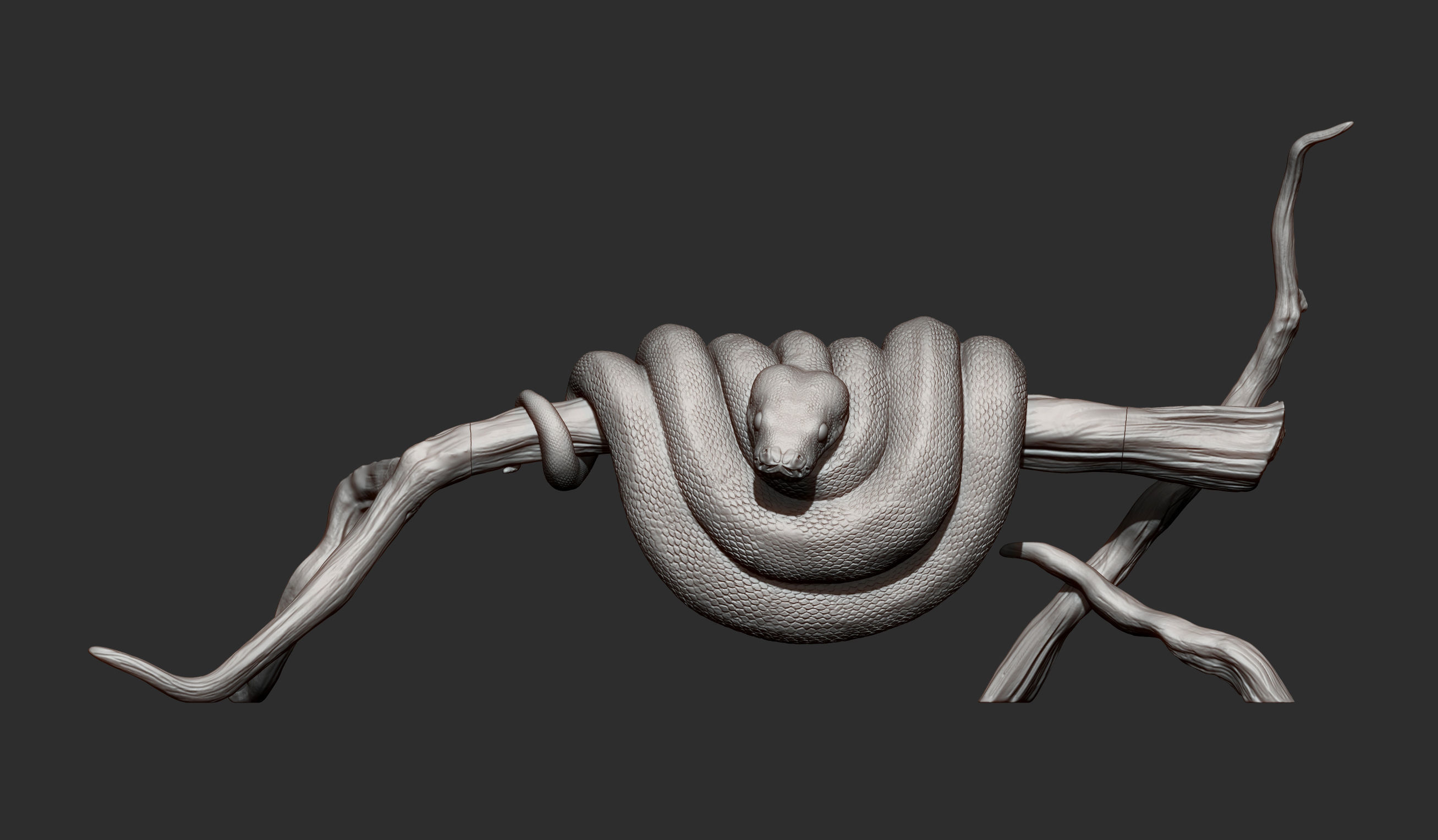 Green tree python  3D print model_9