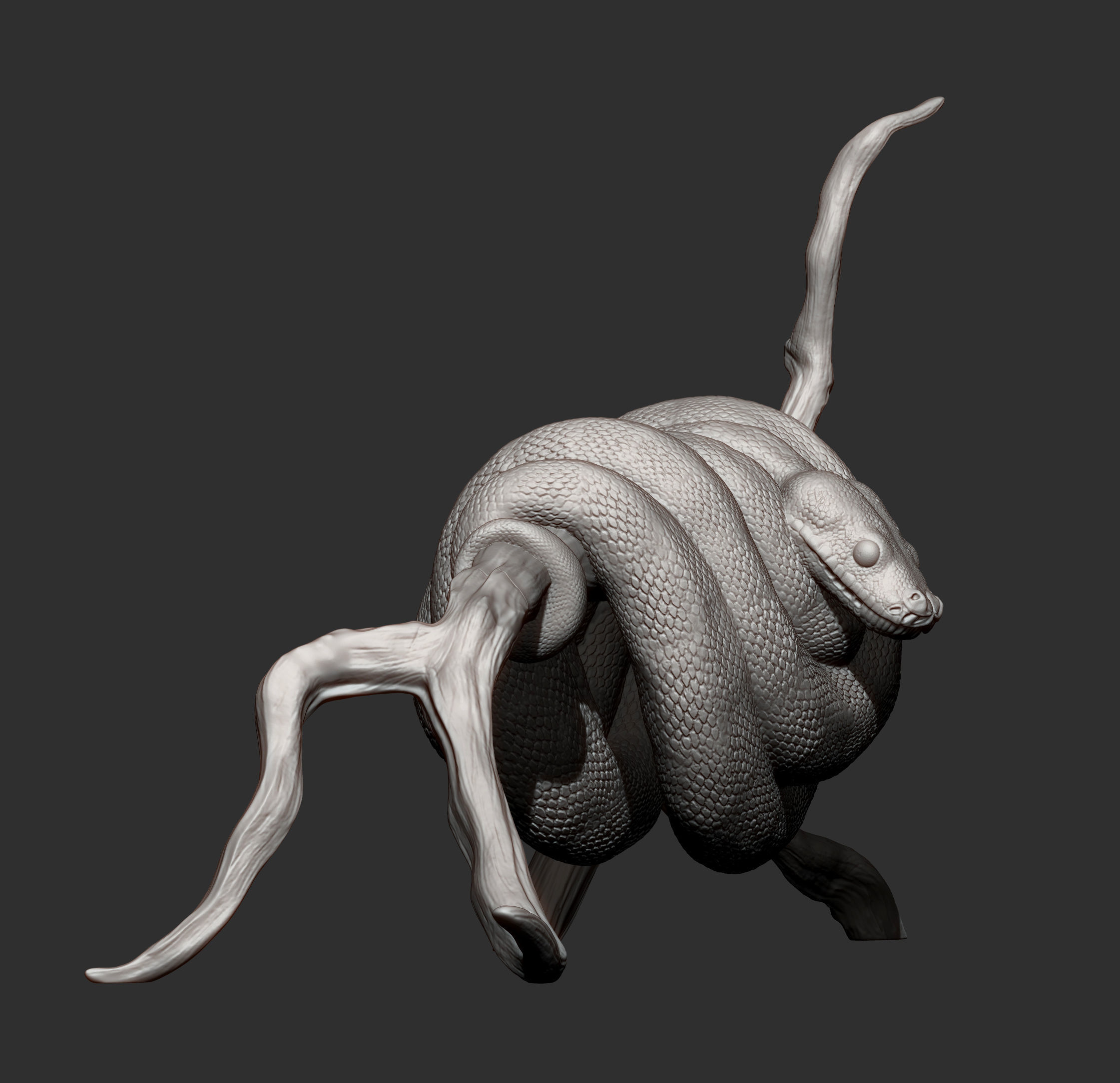Green tree python  3D print model_12