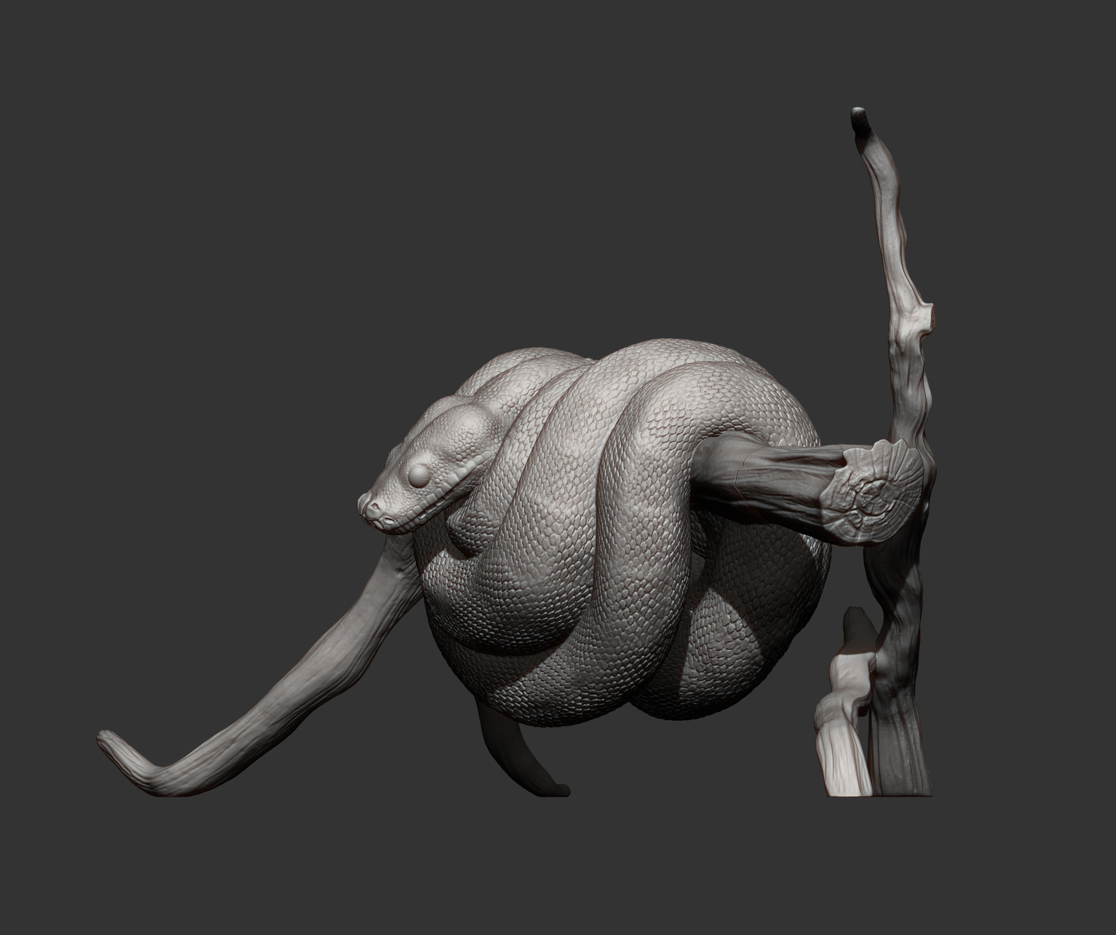 Green tree python  3D print model_10