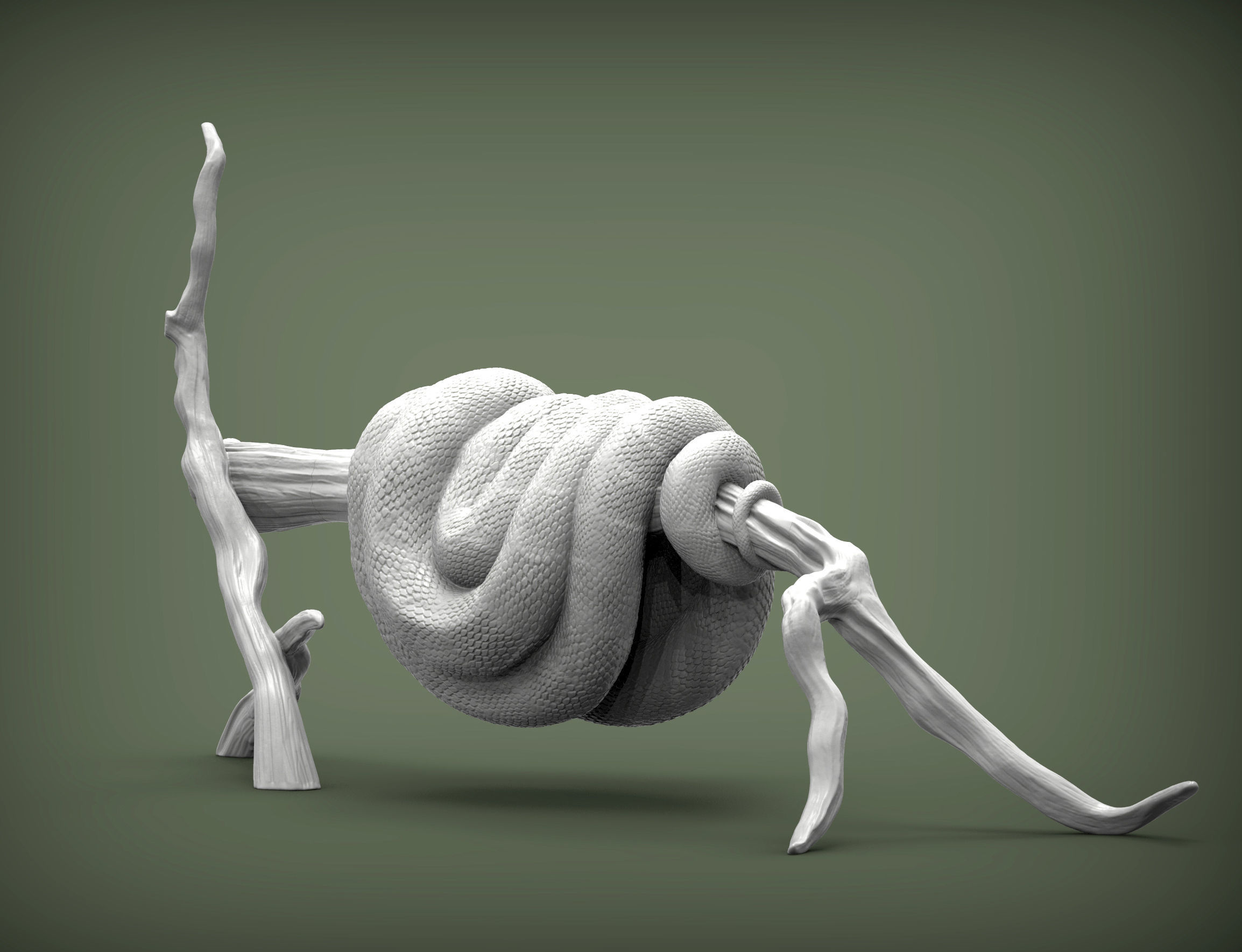 Green tree python  3D print model_3