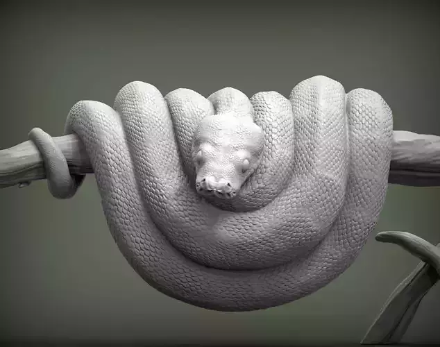 Green tree python  3D print model