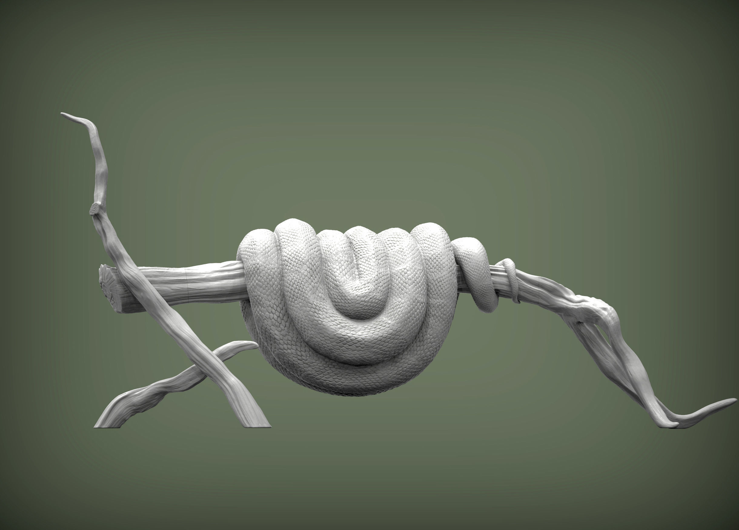 Green tree python 3D model 3D printable | CGTrader