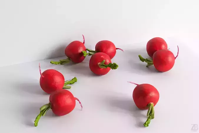 Radish 3D model