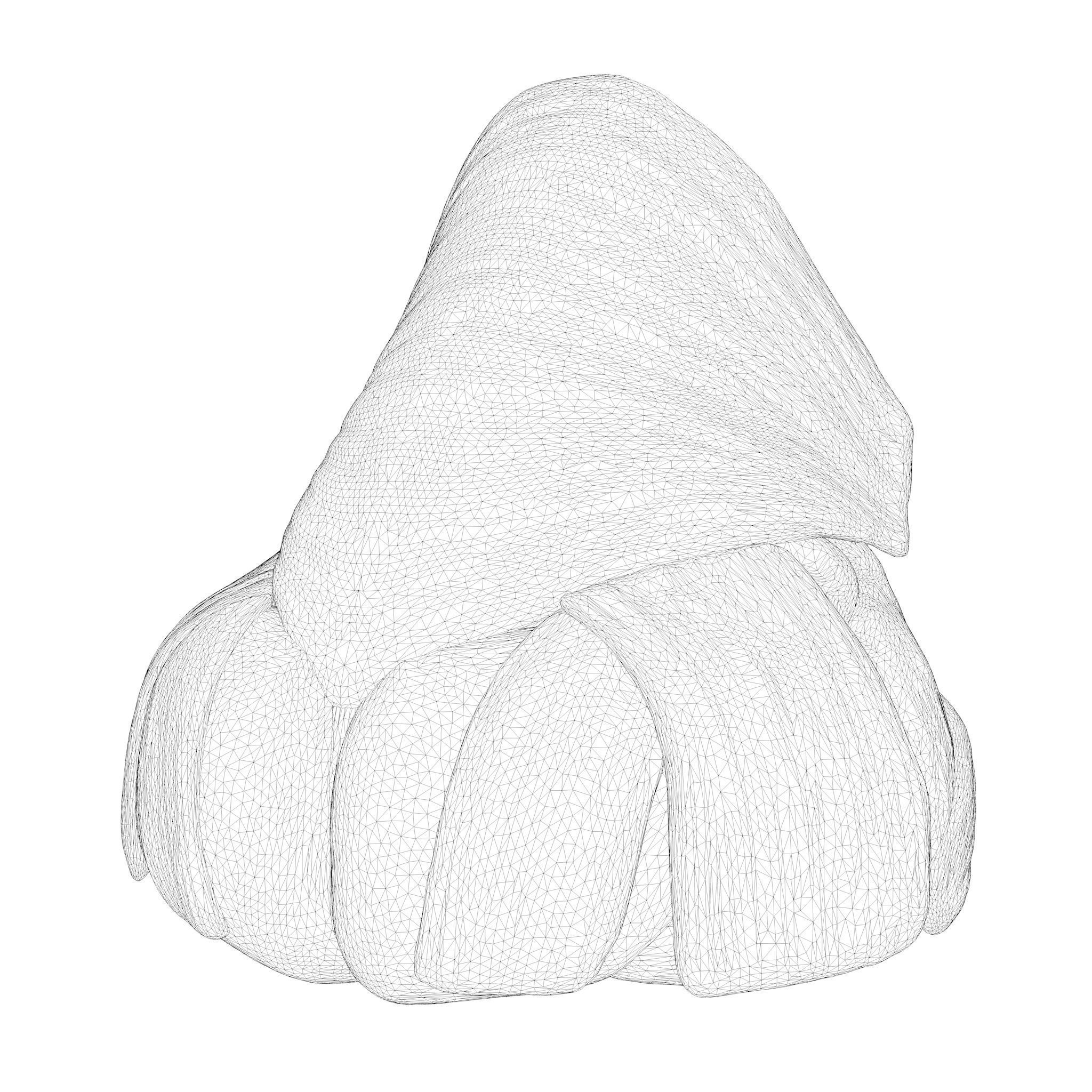 Nasal Structure Anatomy 3D model_8