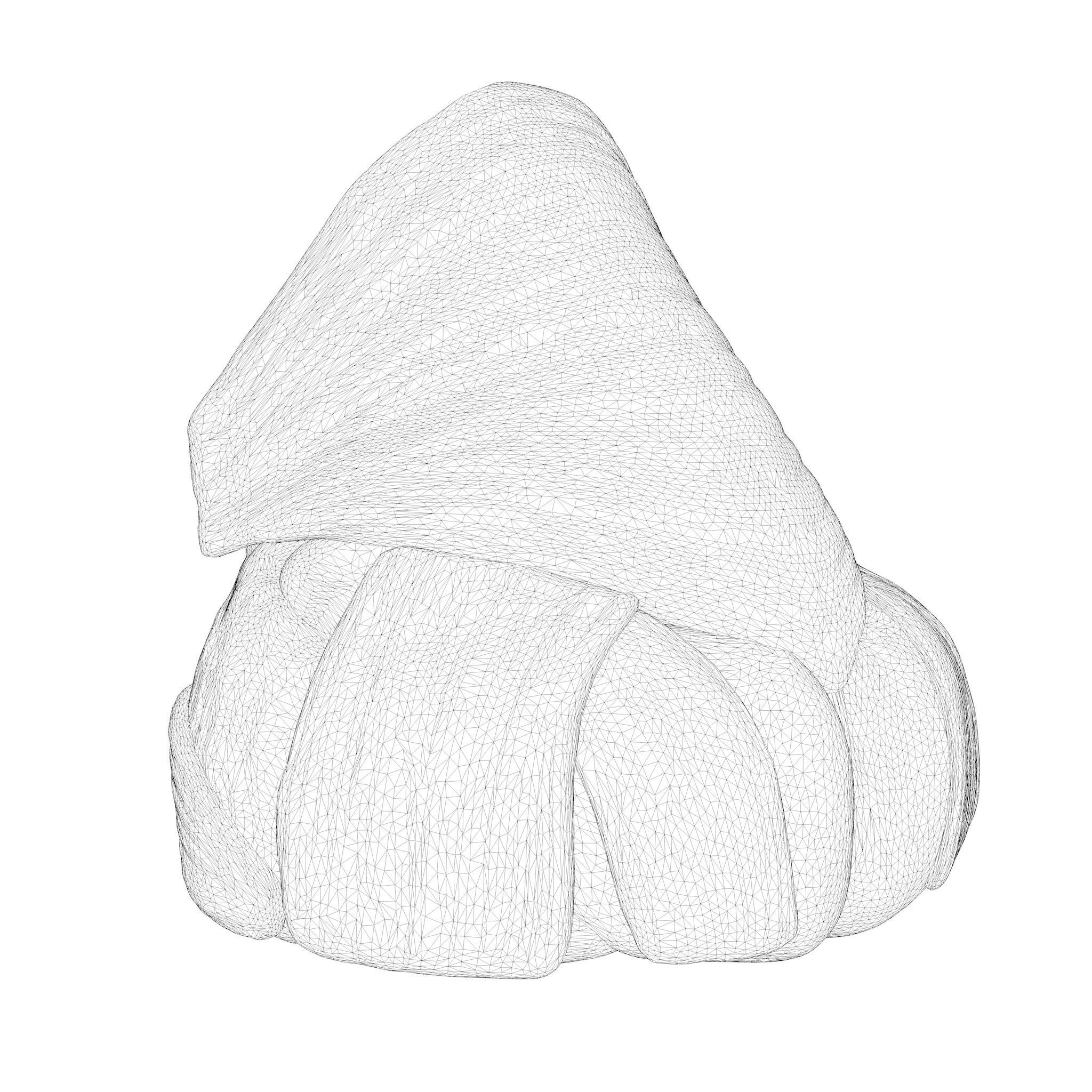 Nasal Structure Anatomy 3D model_6