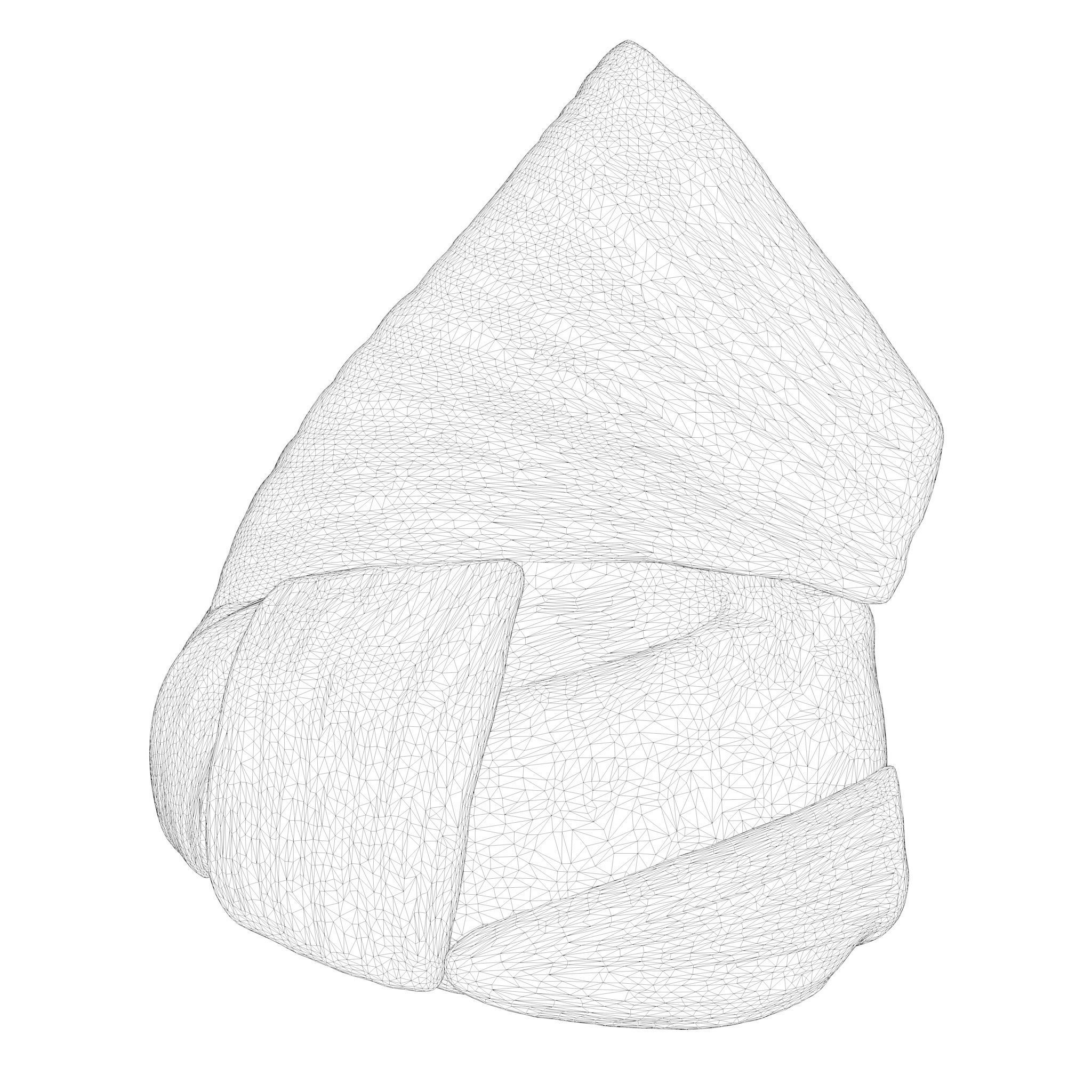 Nasal Structure Anatomy 3D model_7