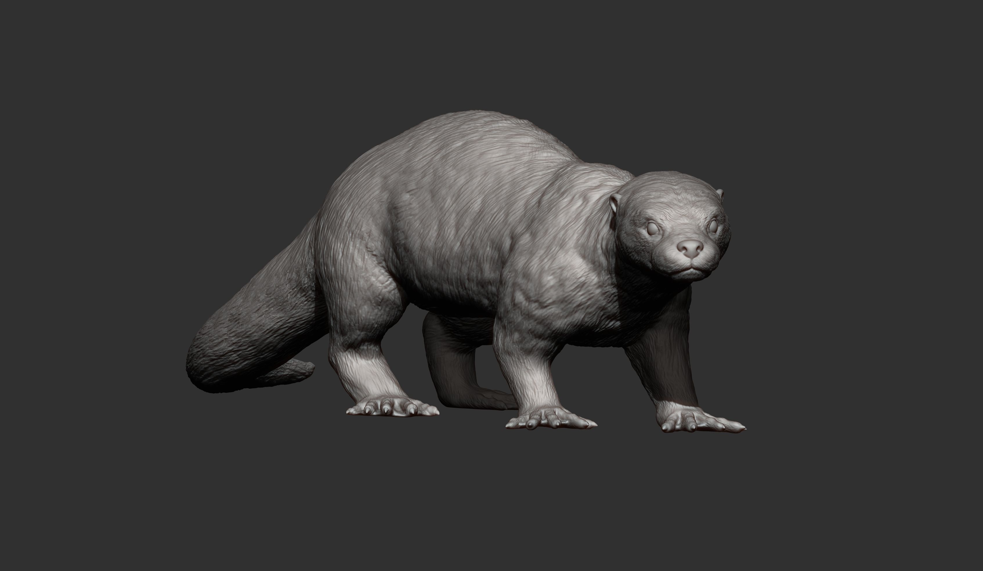 Otter 3D print model_14