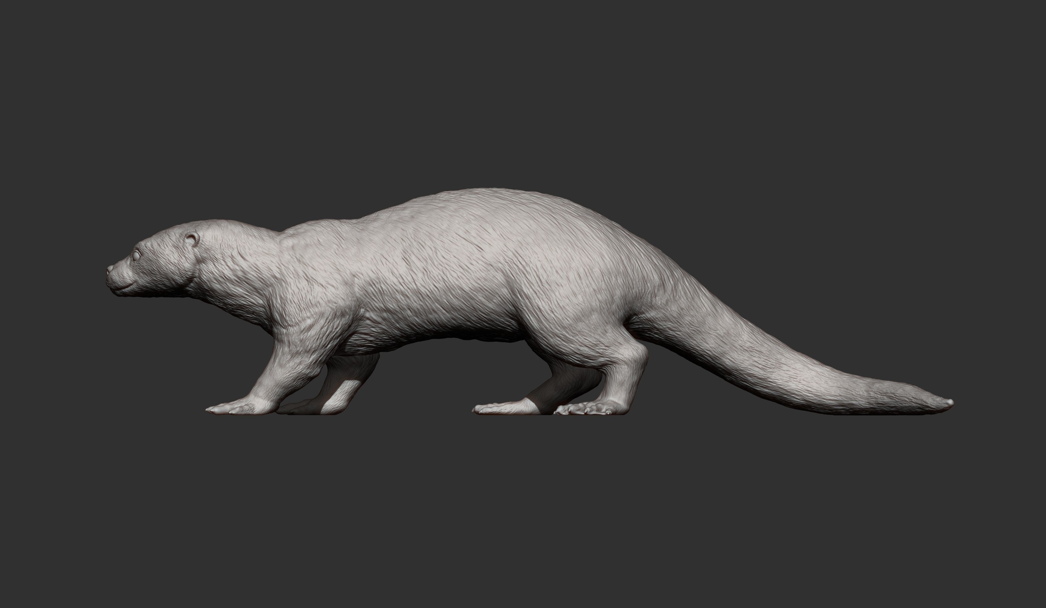 Otter 3D print model_13