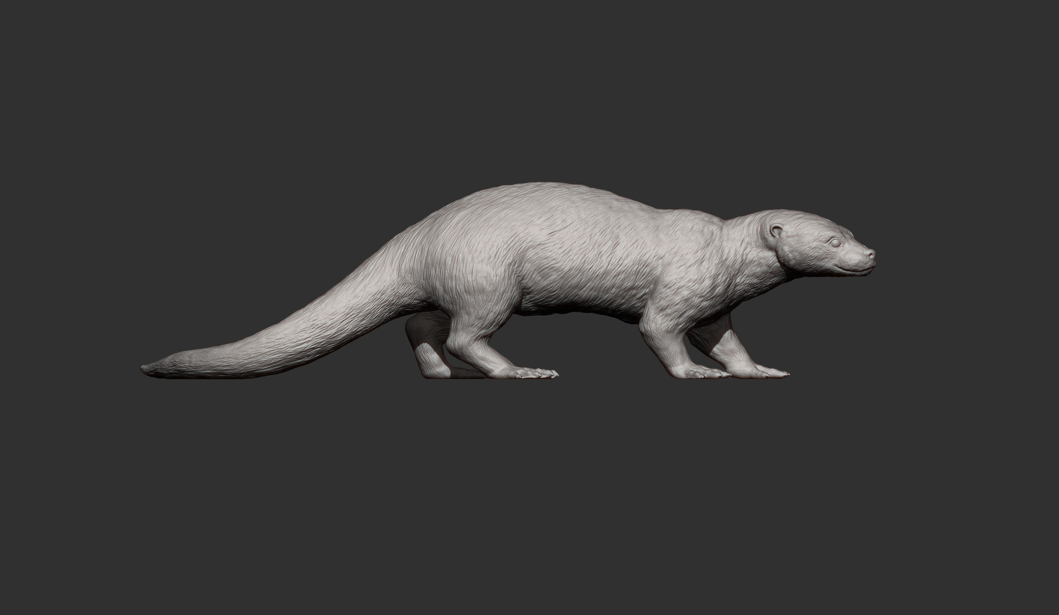 Otter 3D print model_11