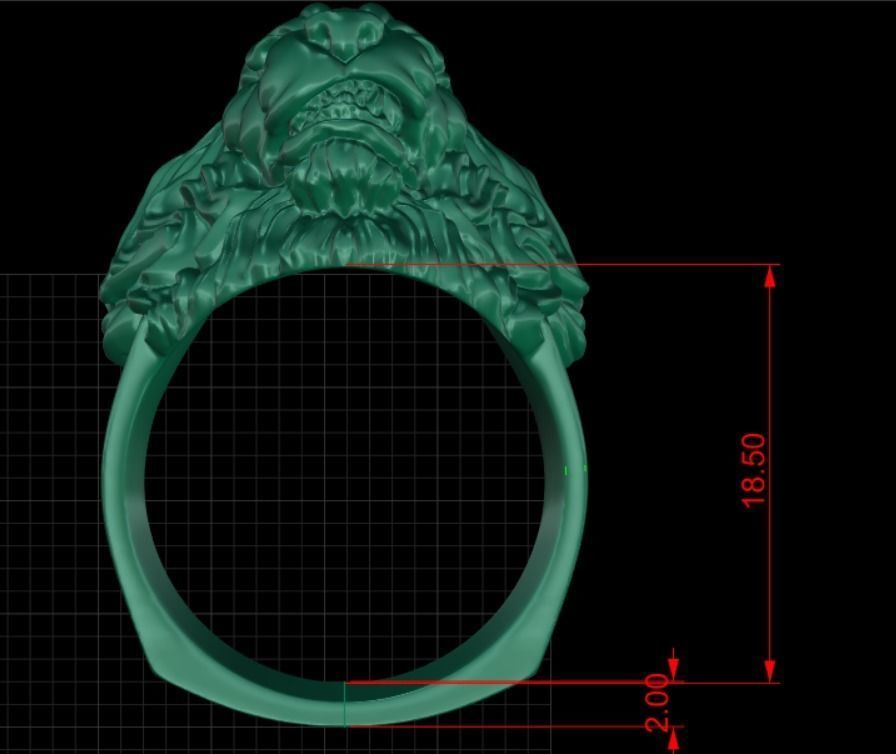 Lions head 3D print model_3