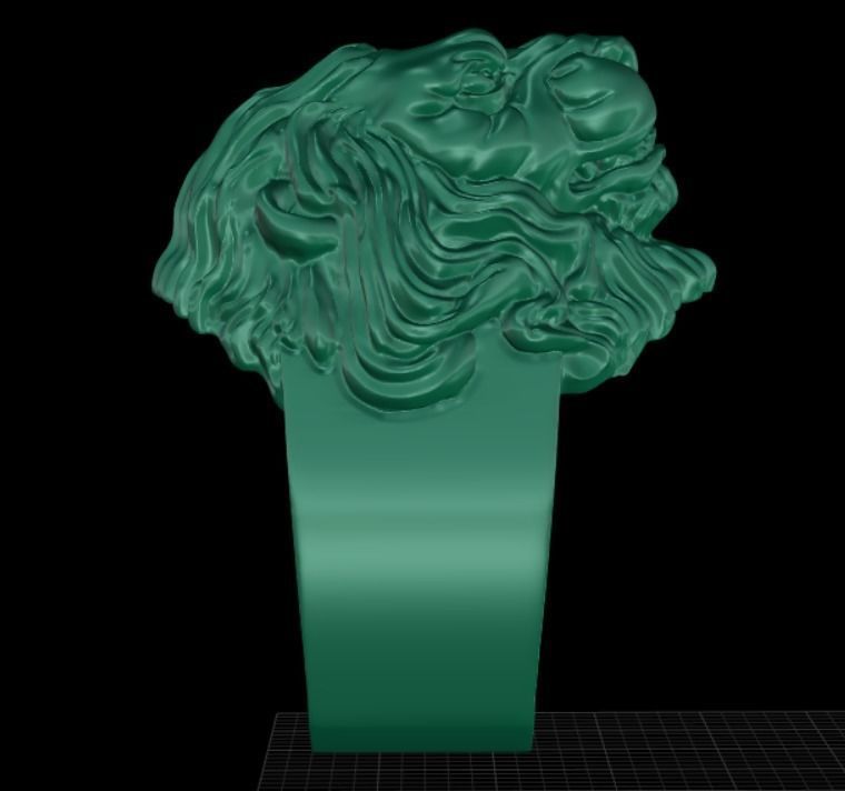 Lions head 3D print model_5