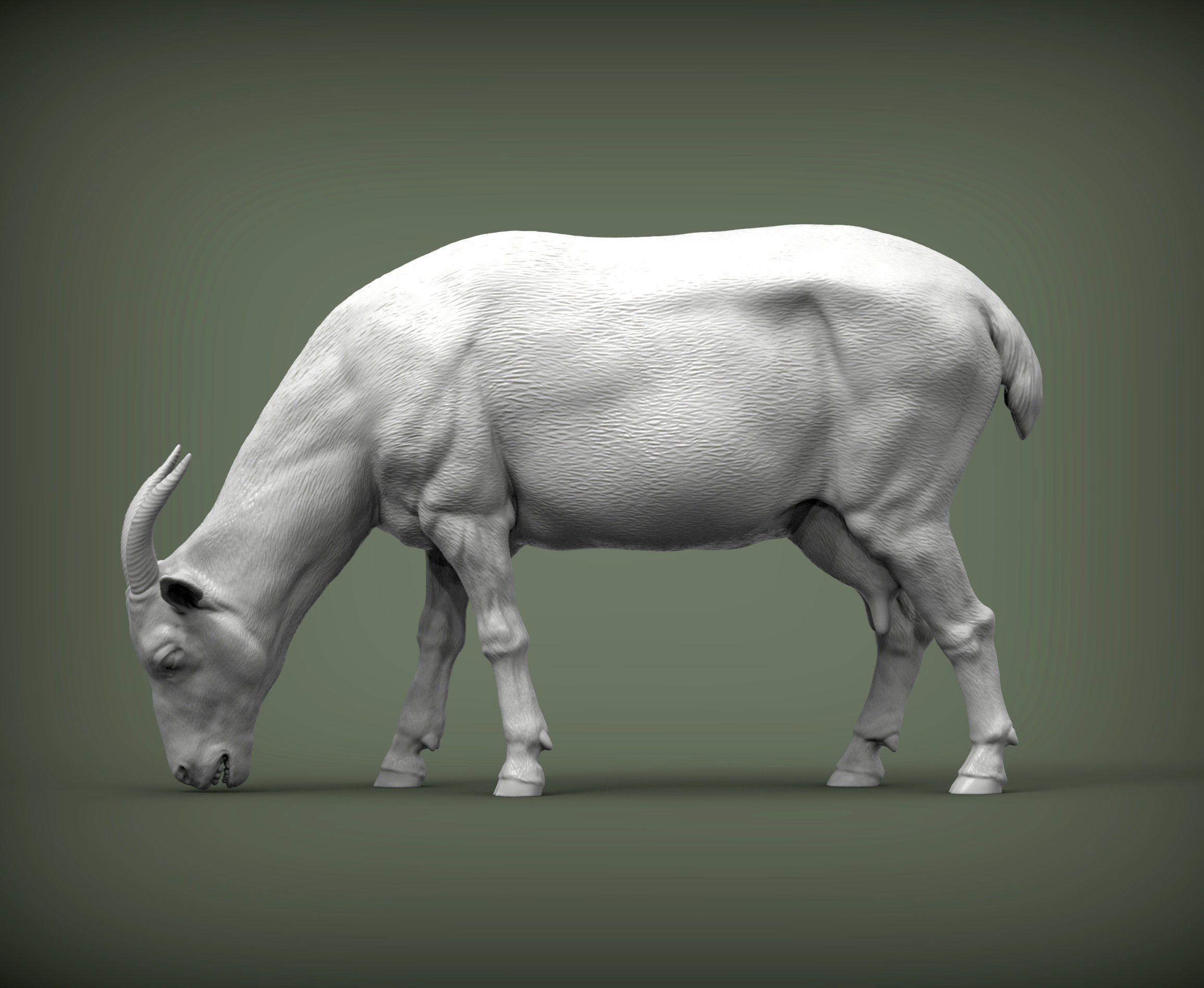 Goat eats 3D print model_3