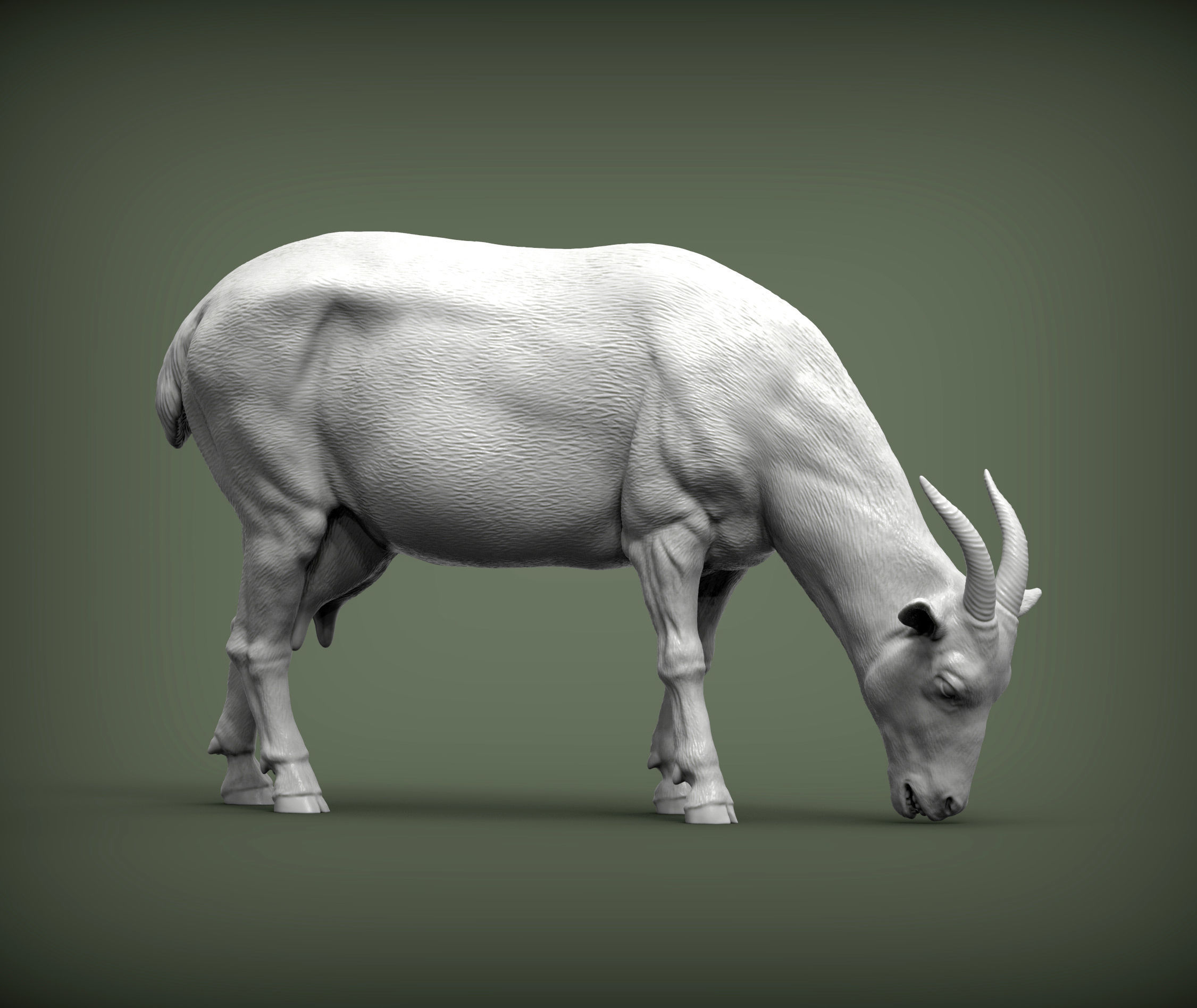 Goat eats 3D print model_2
