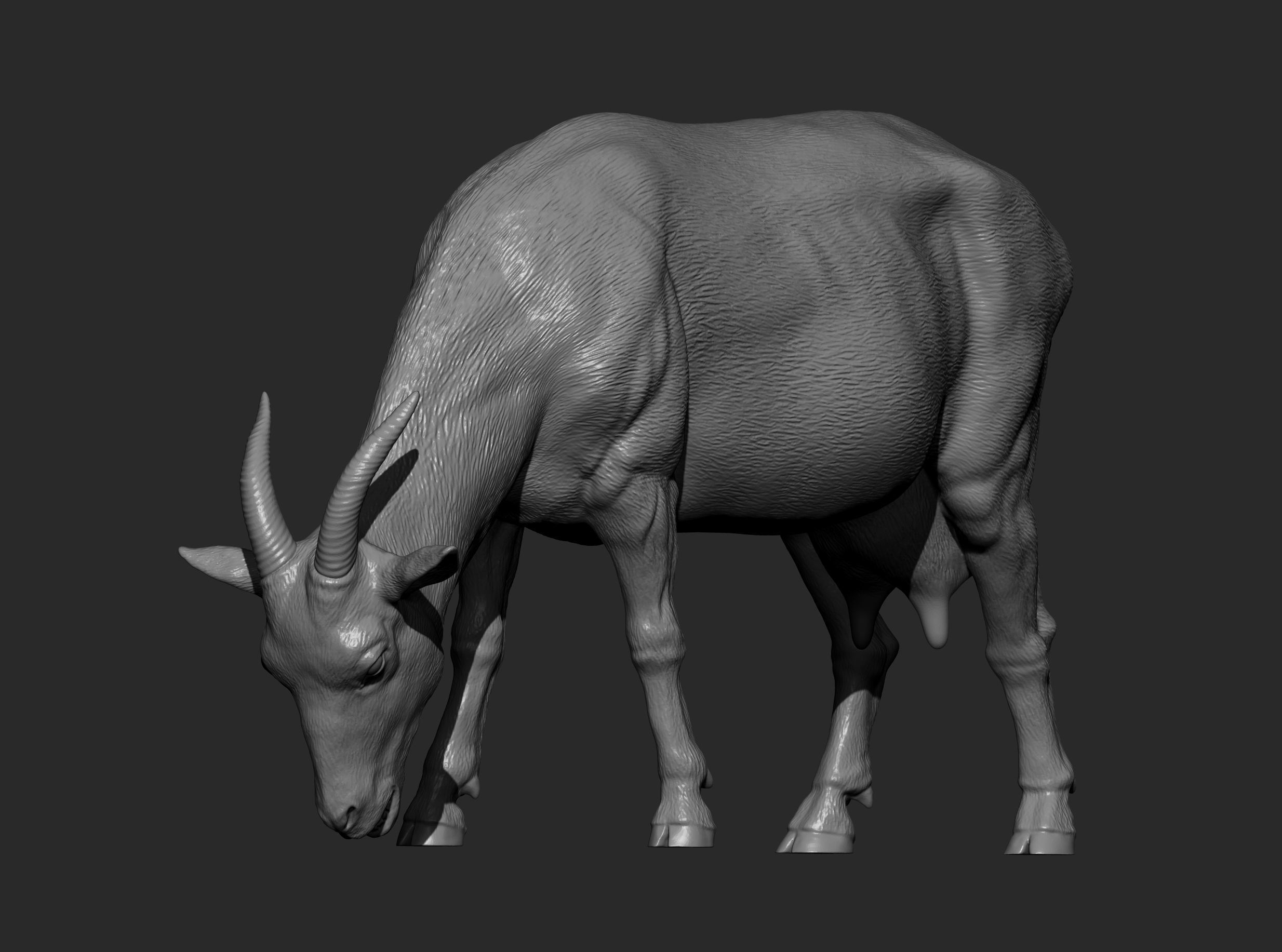 Goat eats 3D print model_10