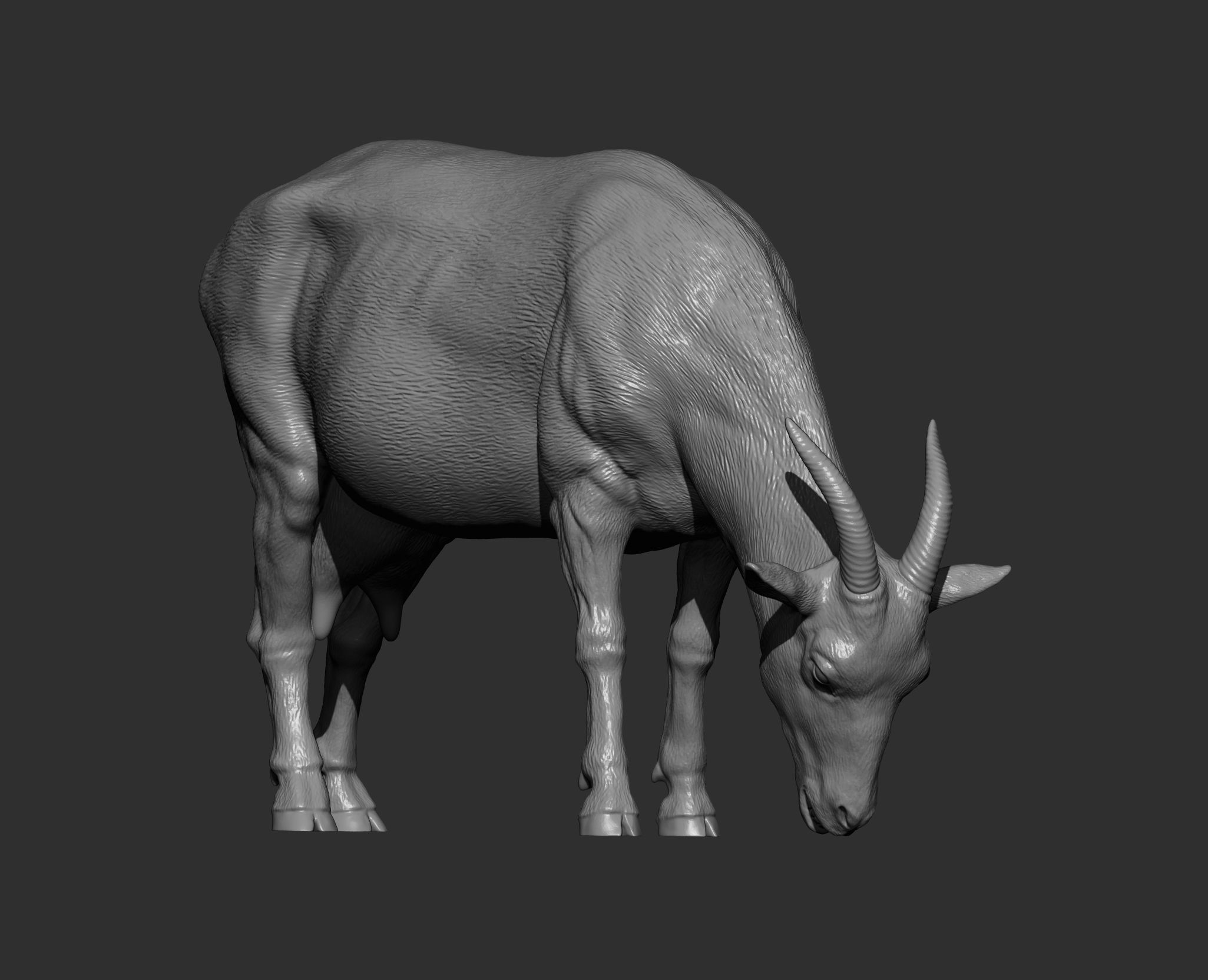 Goat eats 3D print model_9