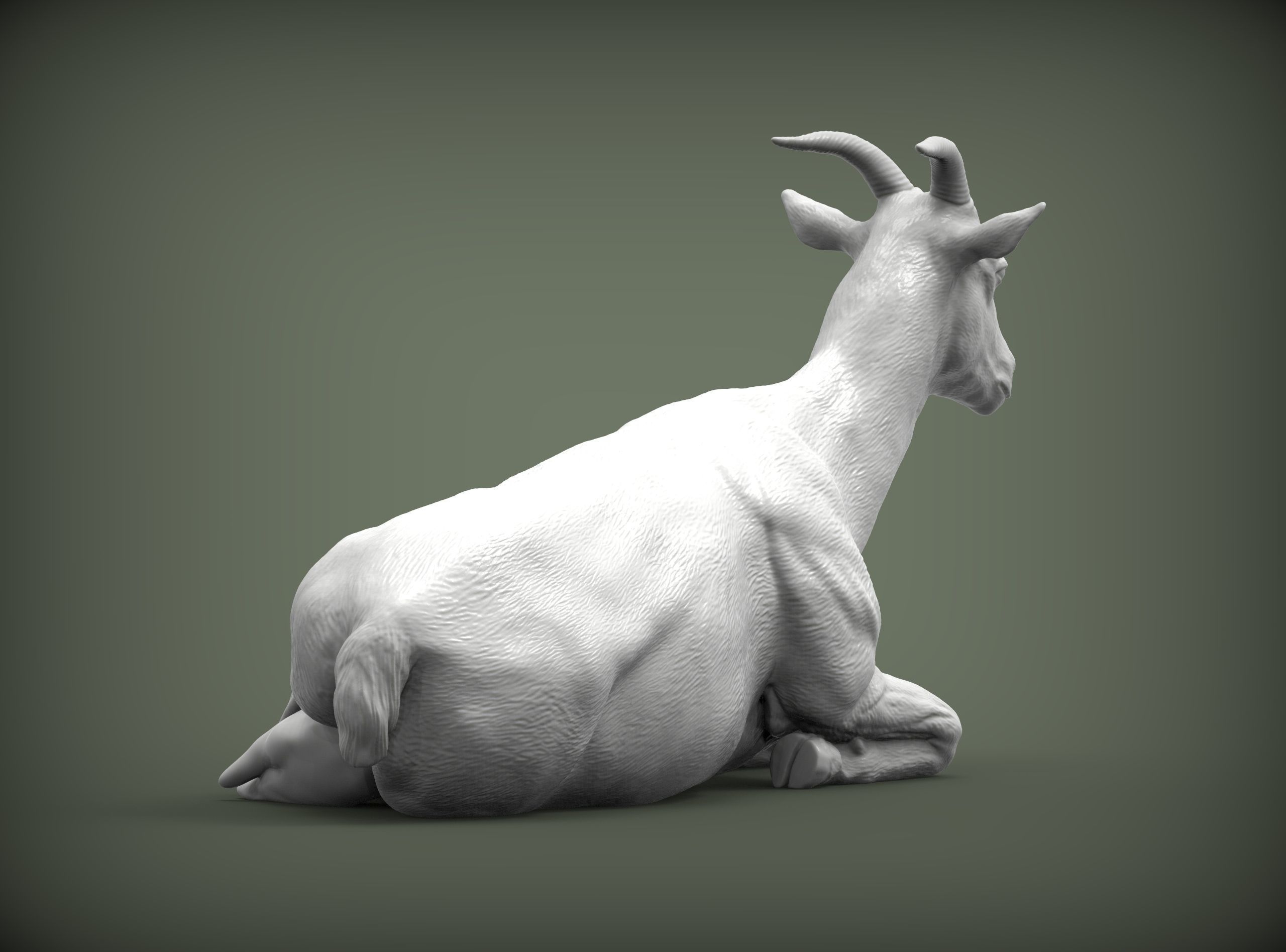 The goat lies 3D print model_6
