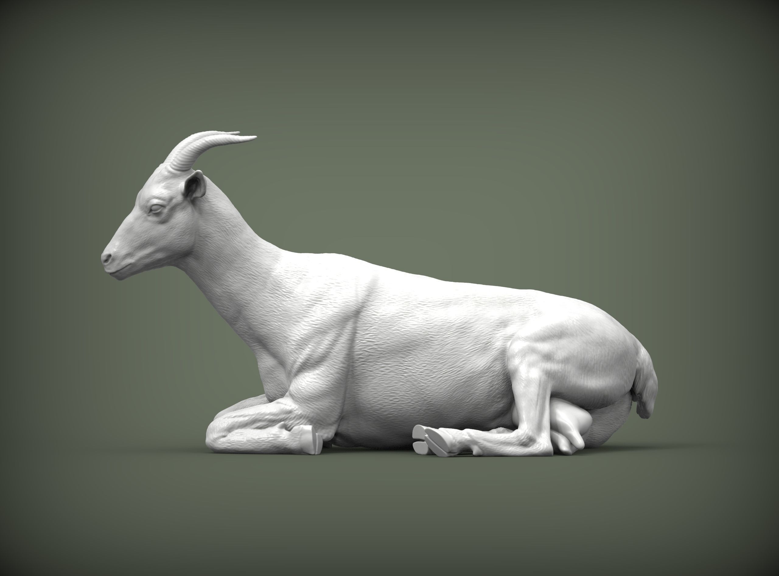 The goat lies 3D print model_2