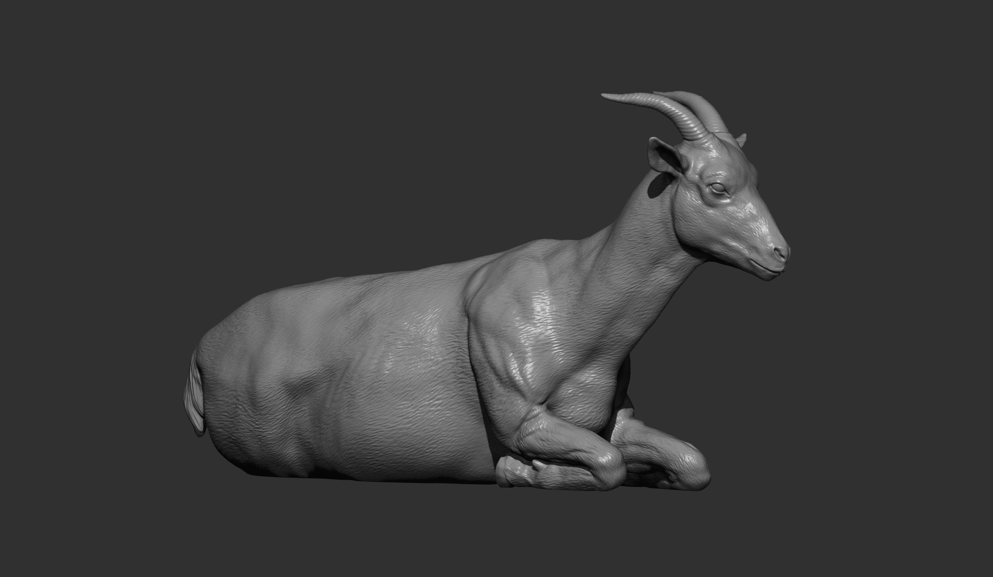 The goat lies 3D print model_11