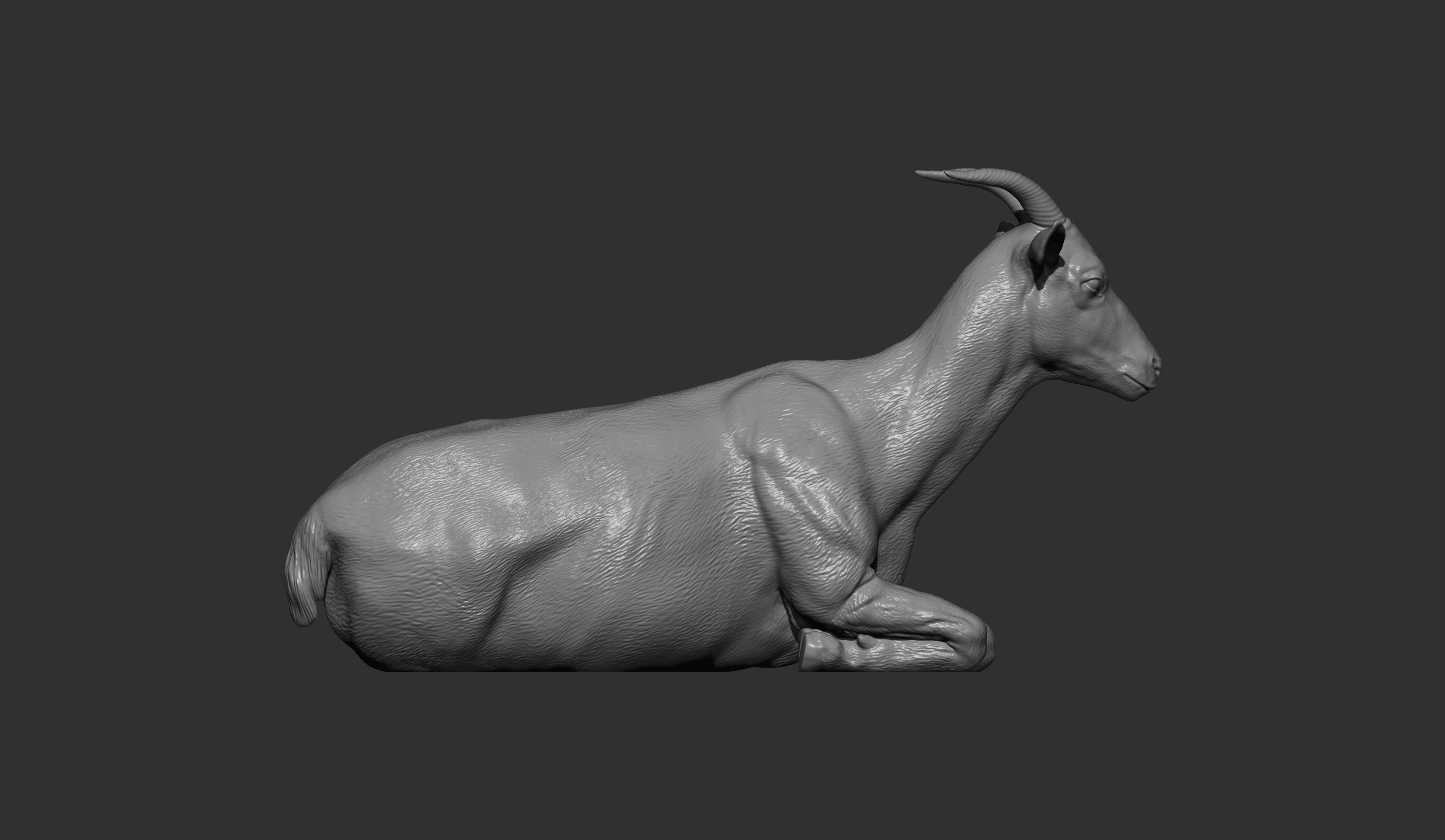 The goat lies 3D print model_13