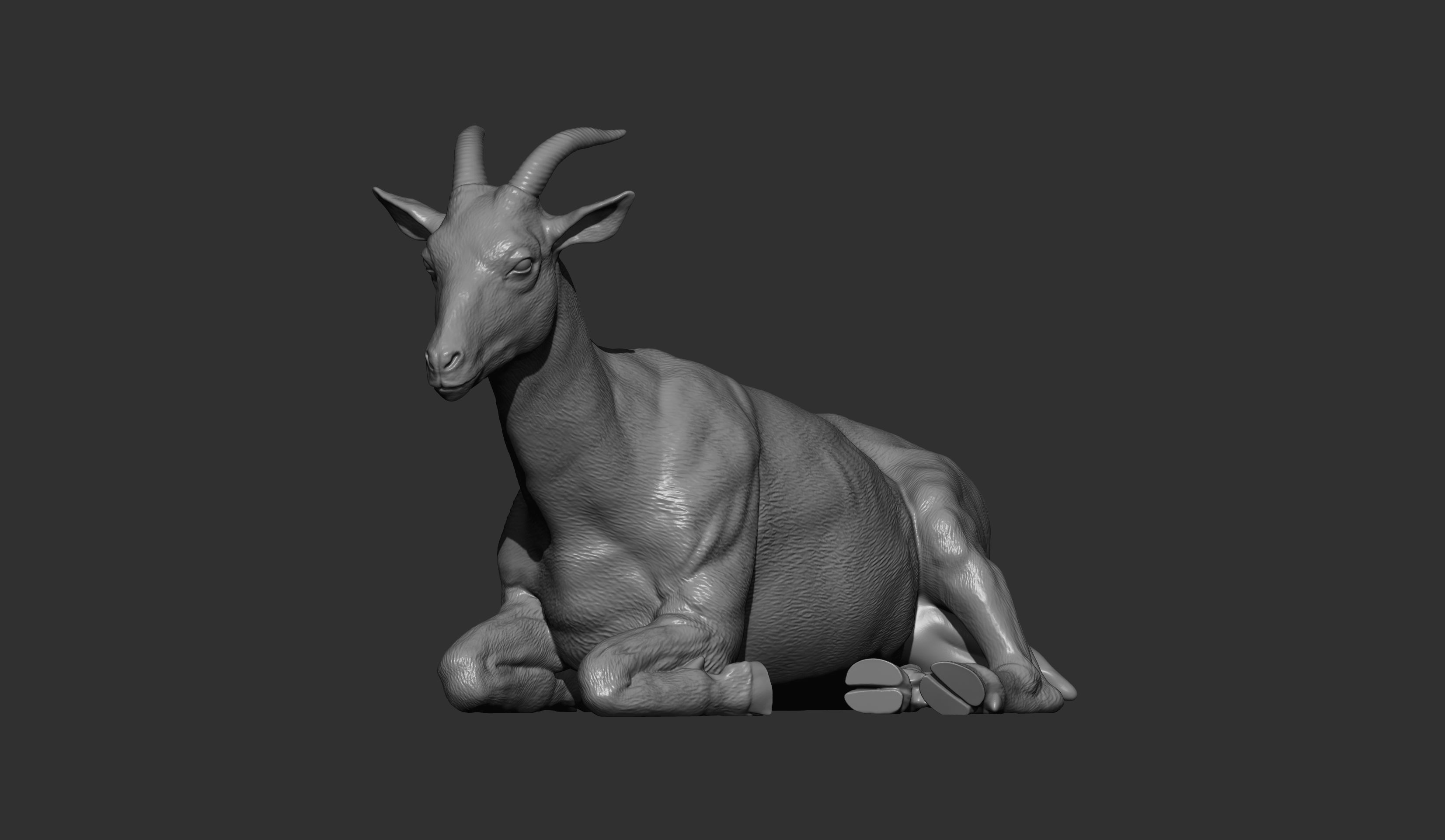 The goat lies 3D print model_9
