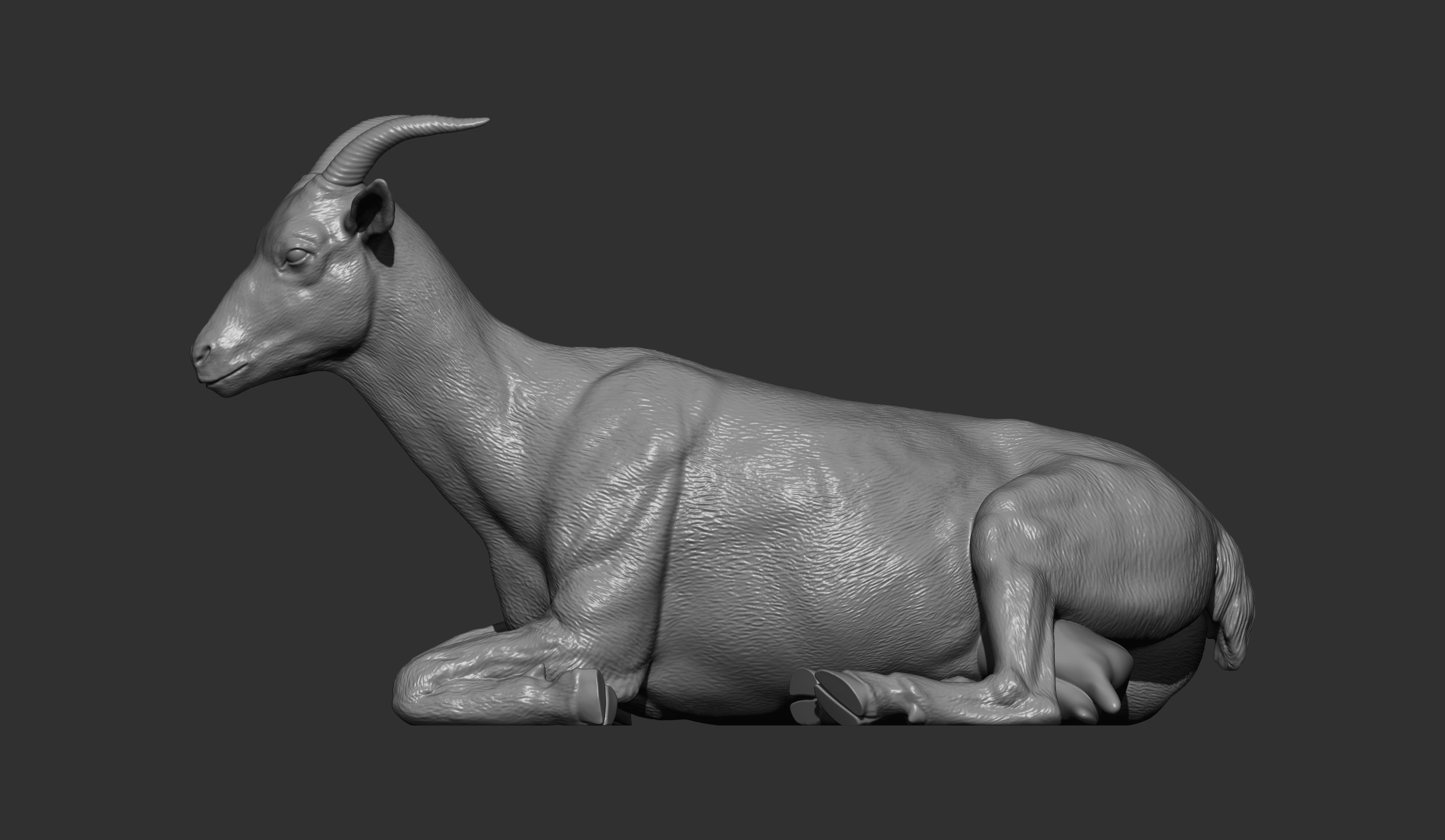 The goat lies 3D print model_8