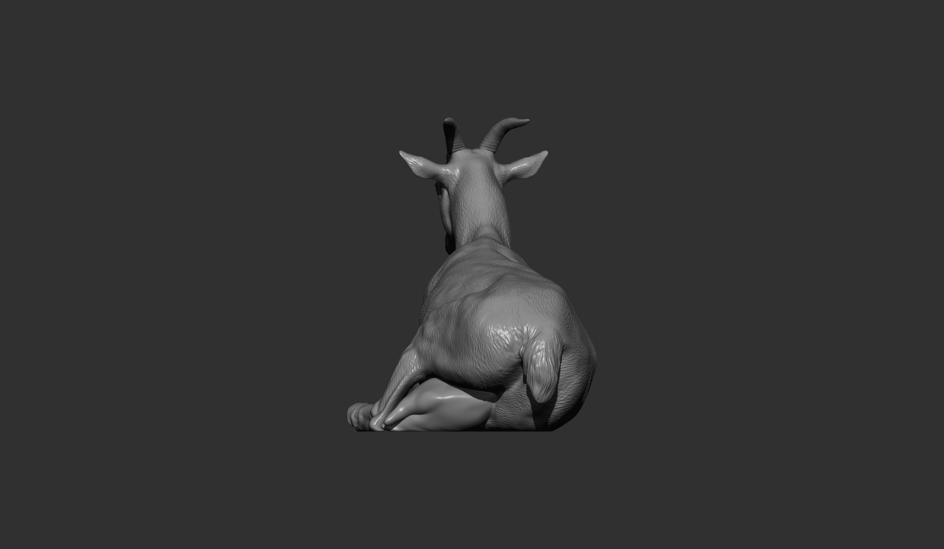 The goat lies 3D print model_10