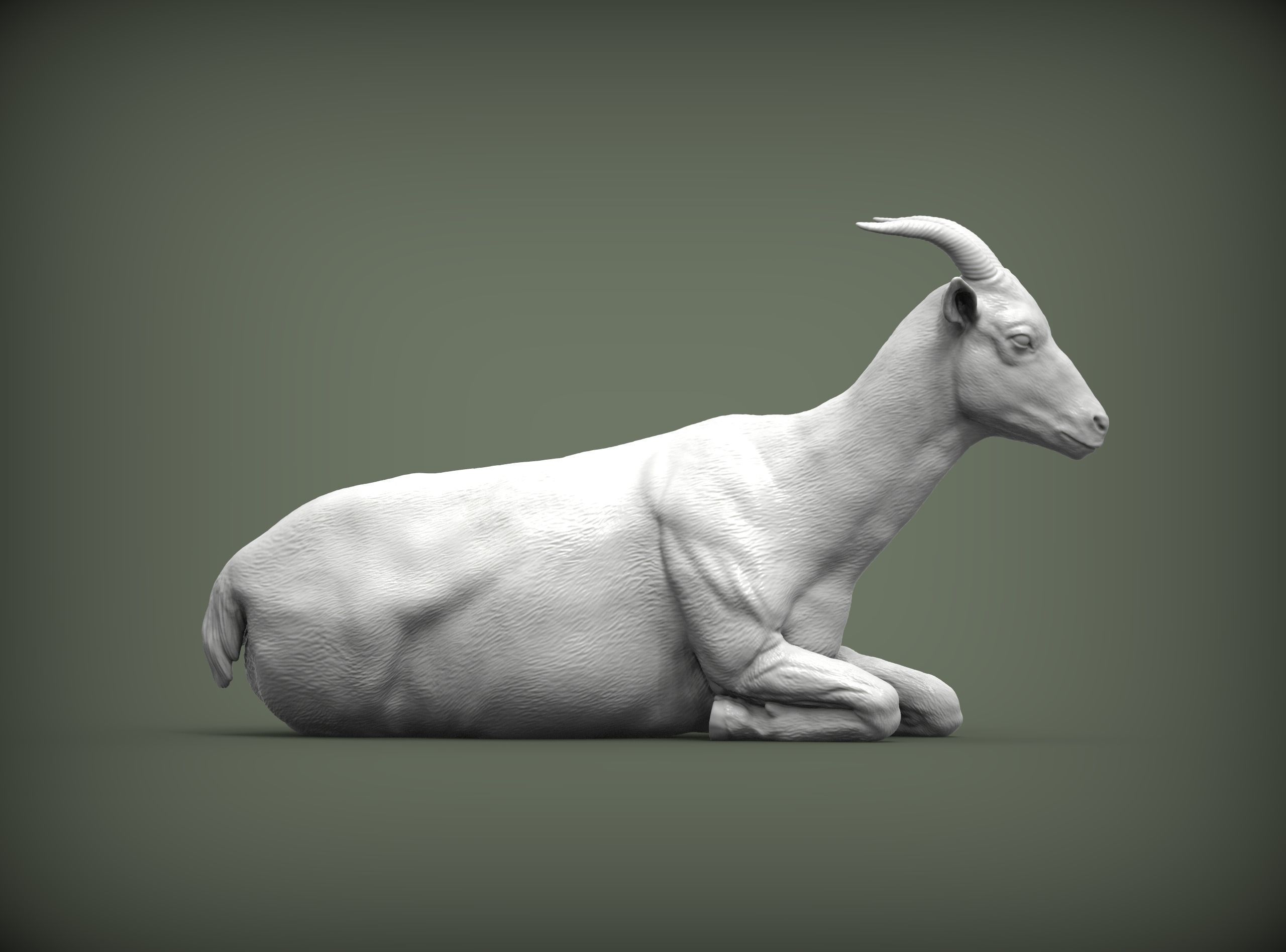 The goat lies 3D print model_5
