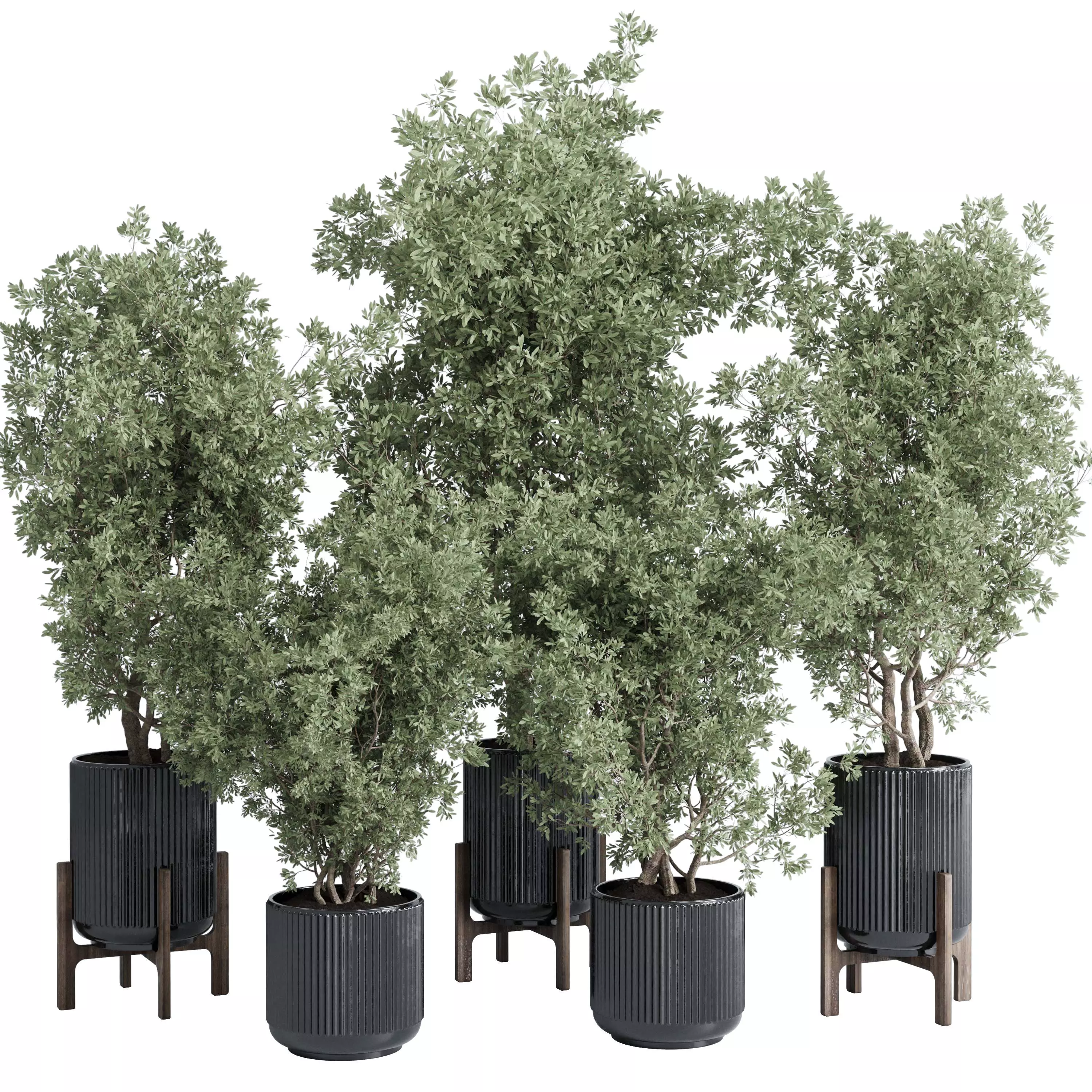 indoor plant set 381 tree bush concrete dirt vase Low-poly 3D model