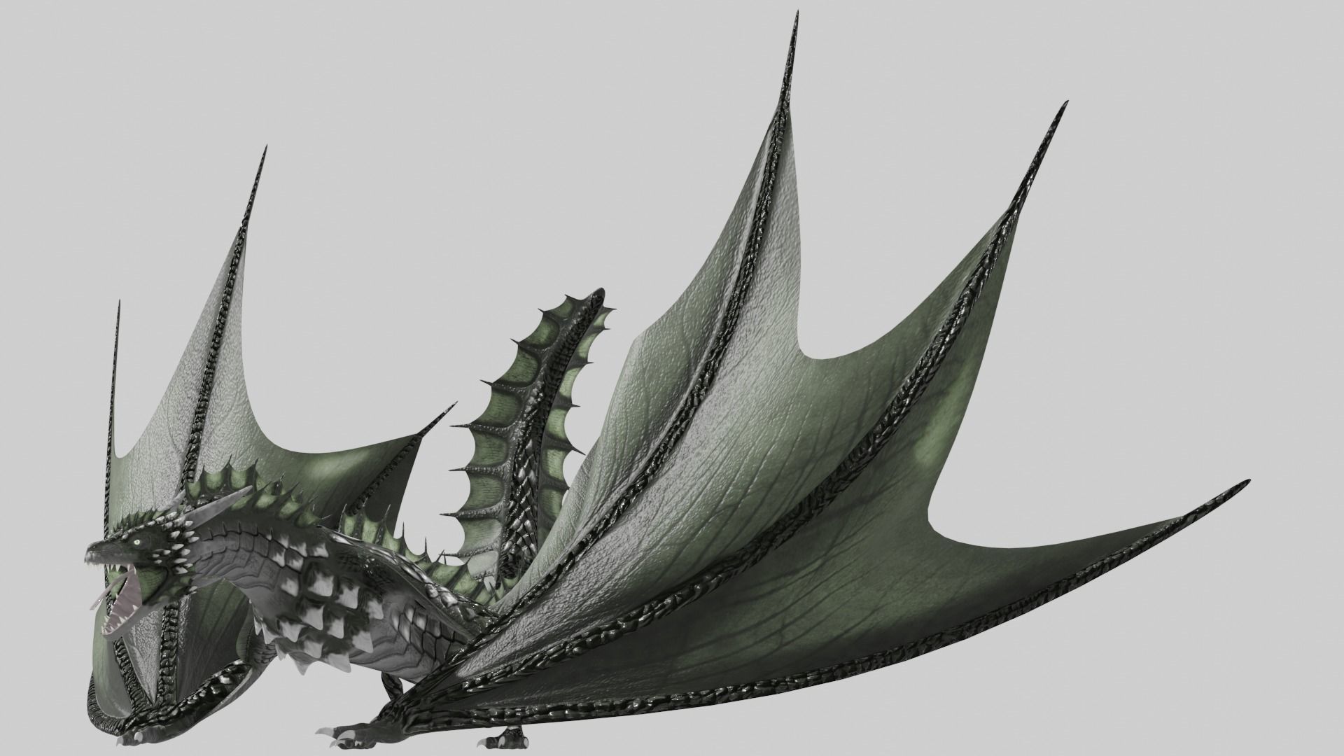 Low Poly Wyvern Dragon Animated Model Low-poly 3D model_10