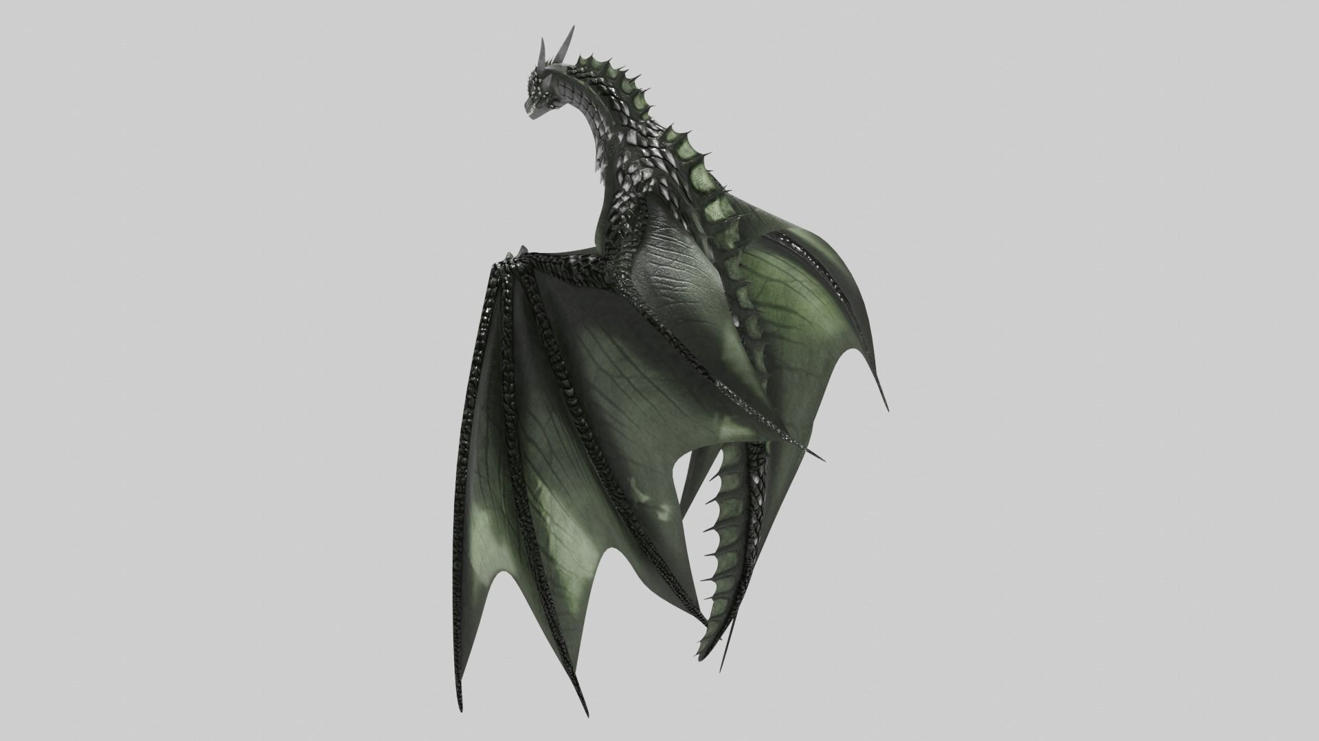 Low Poly Wyvern Dragon Animated Model Low-poly 3D model_14