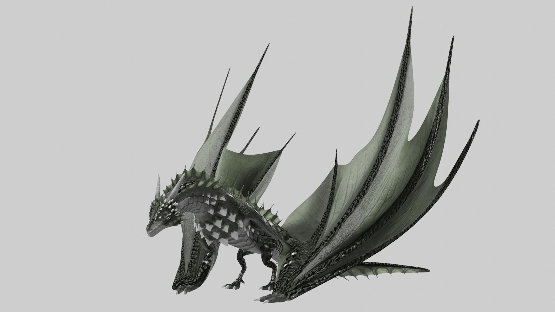 Low Poly Wyvern Dragon Animated Model Low-poly 3D model_2