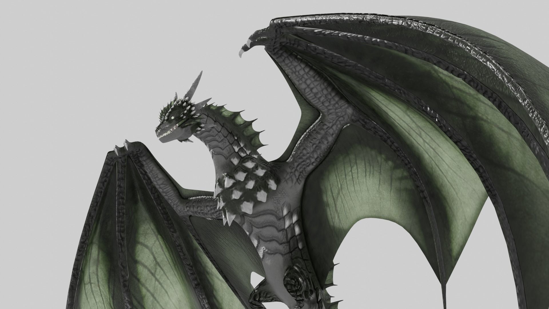 Low Poly Wyvern Dragon Animated Model Low-poly 3D model_13