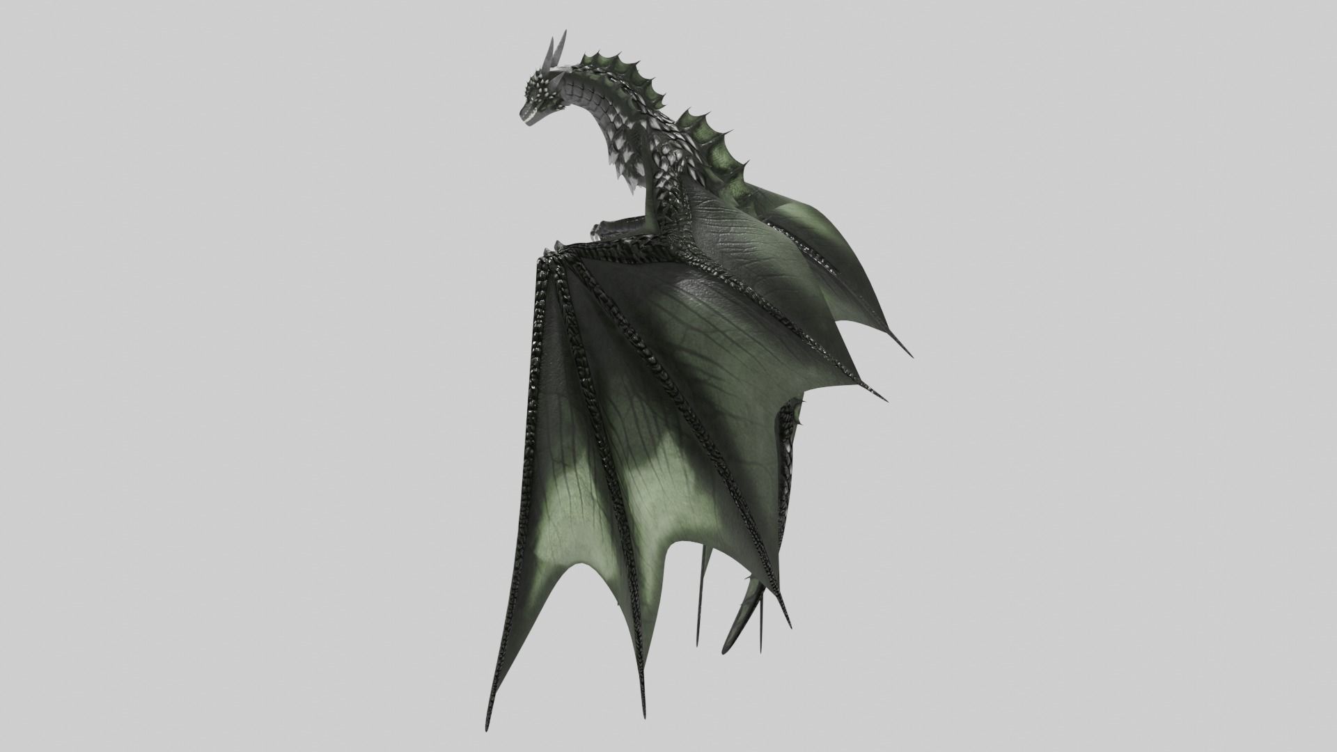 Low Poly Wyvern Dragon Animated Model Low-poly 3D model_12