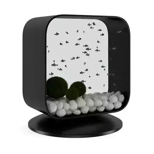 Modern Rectangular Aquarium 3D model