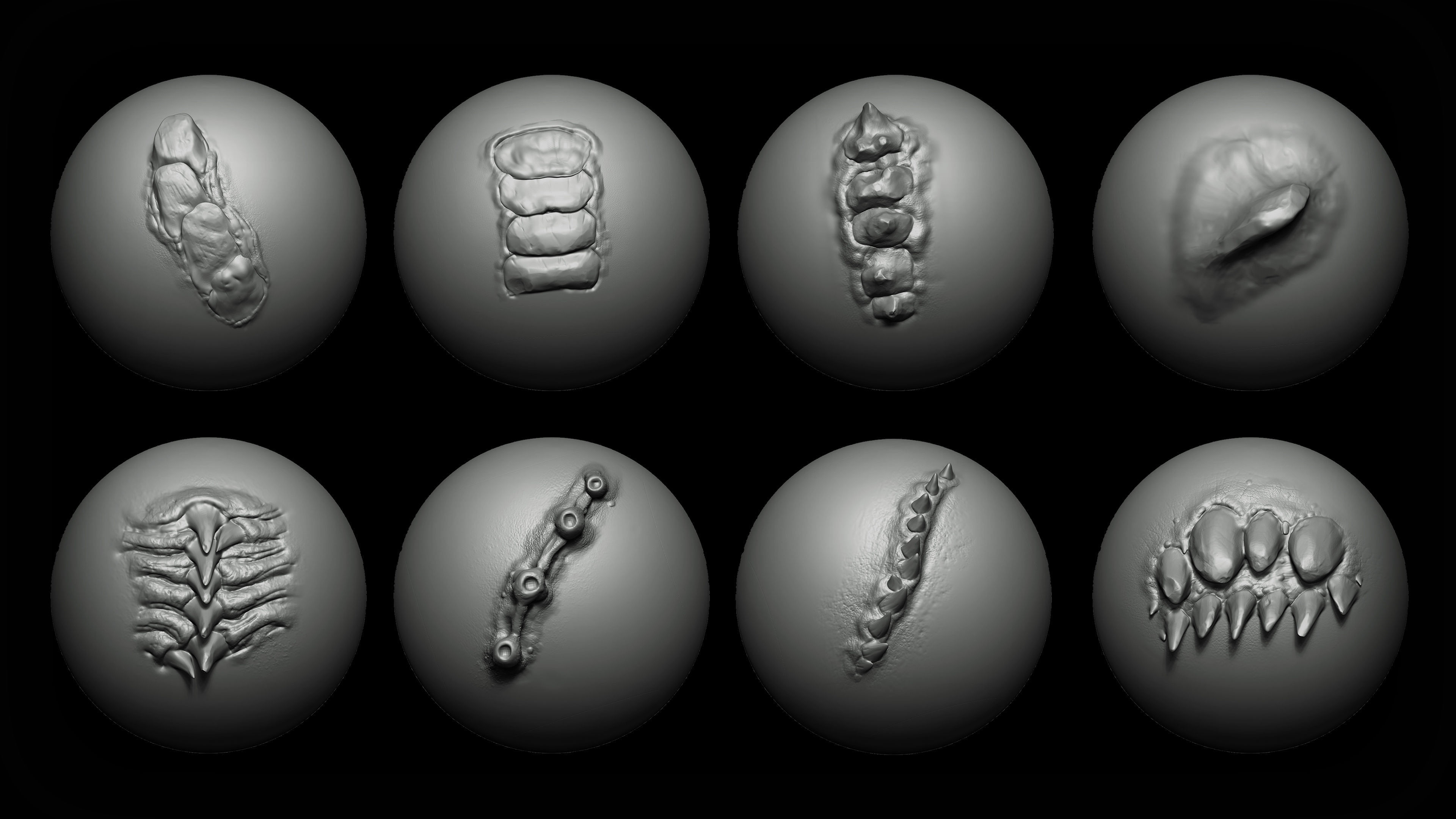 Zbrush and Blender Dragon Maker 140 Brushes Bundle 3D model_14