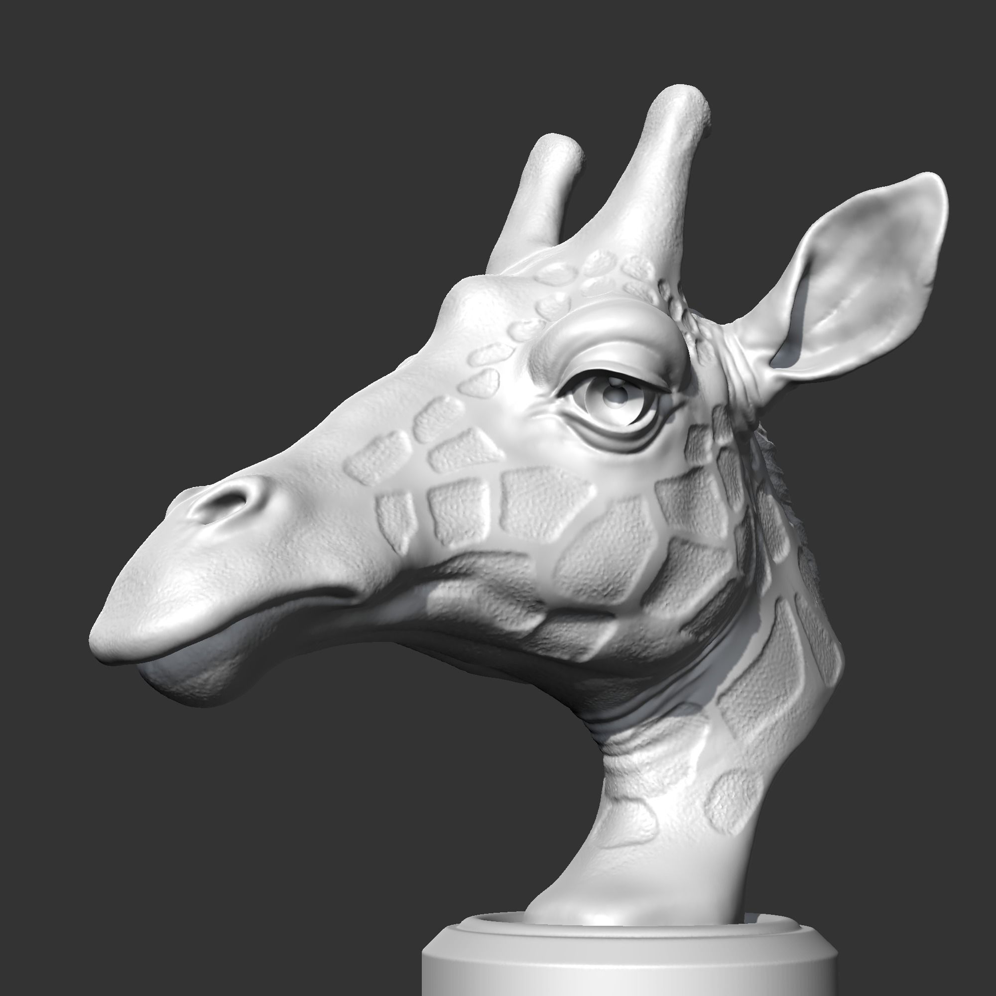 Giraffe Head AM13 3D print model 3D print model_5