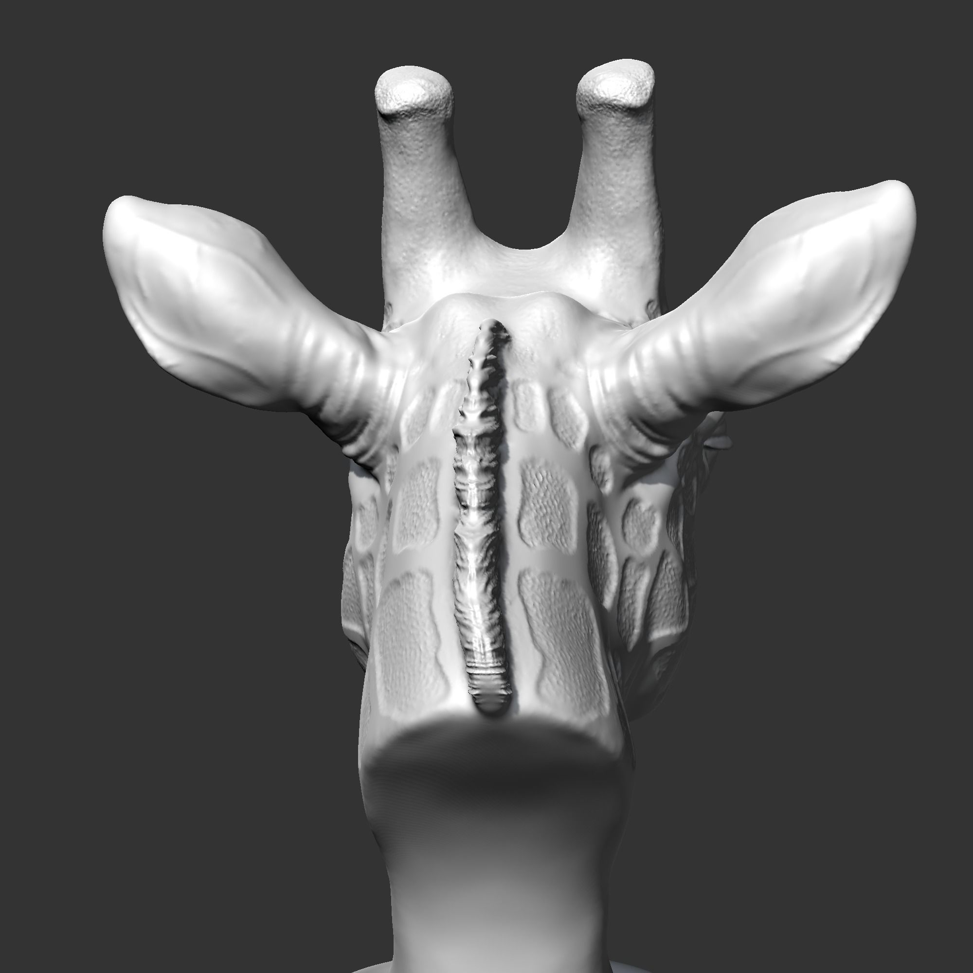 Giraffe Head AM13 3D print model 3D print model_8