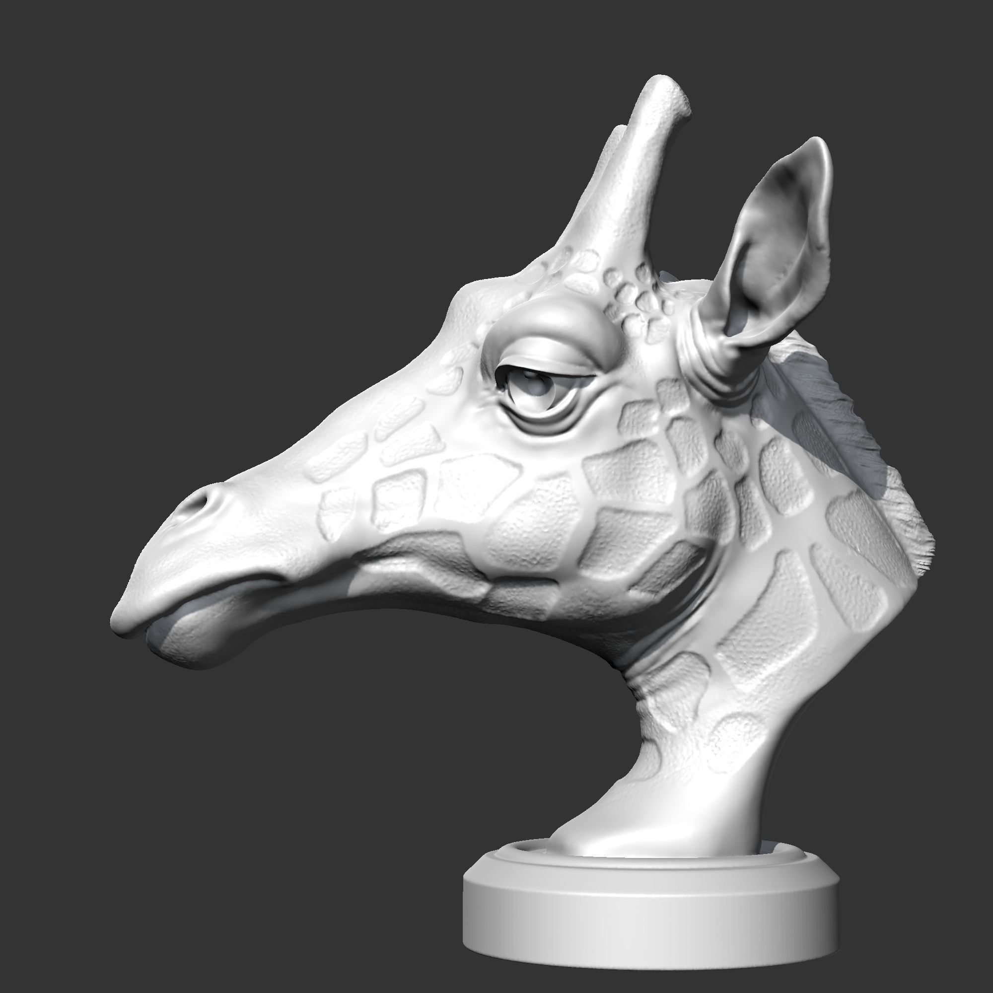 Giraffe Head AM13 3D print model 3D print model_6