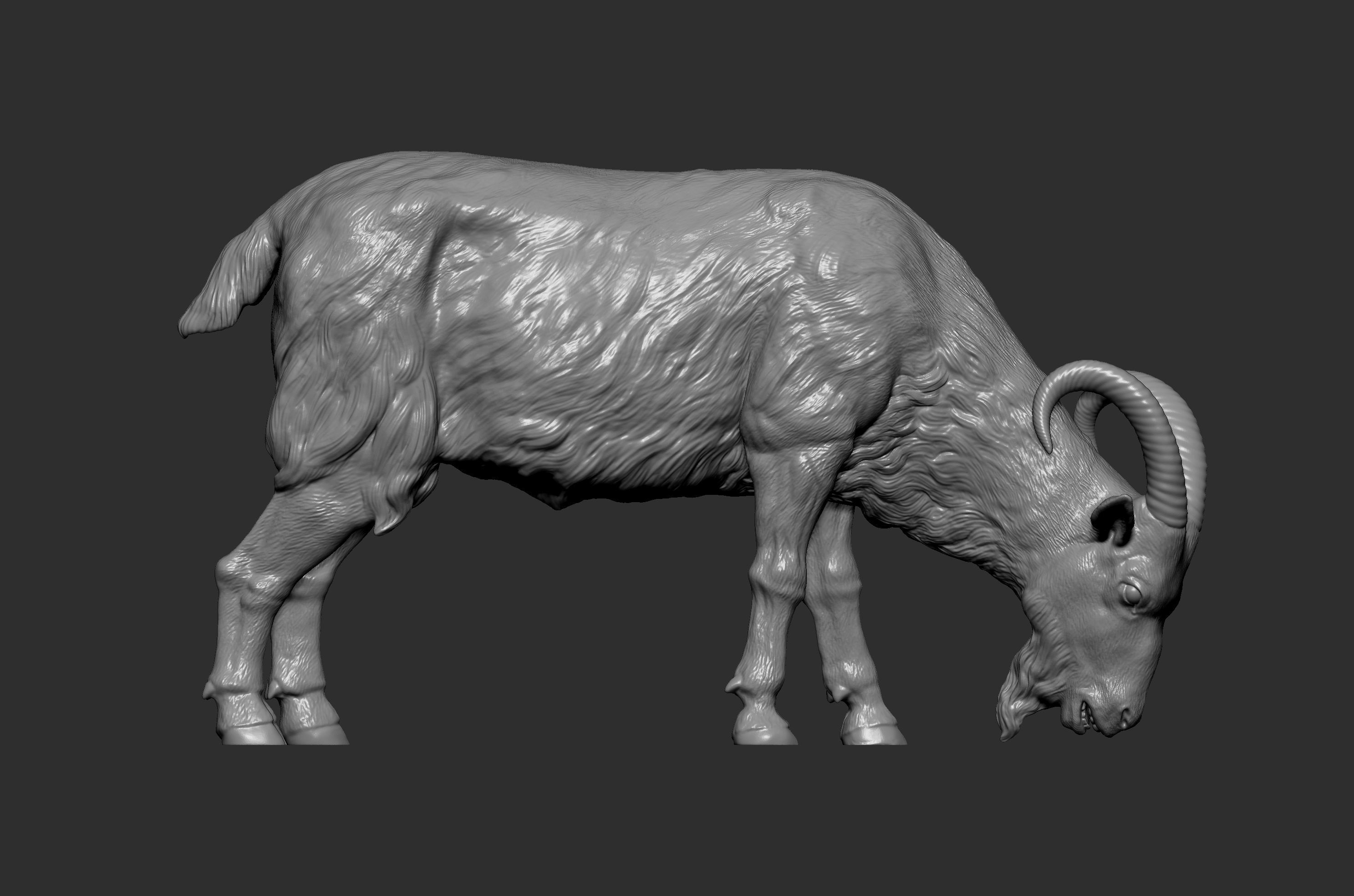 Goat eats  3D print model_11