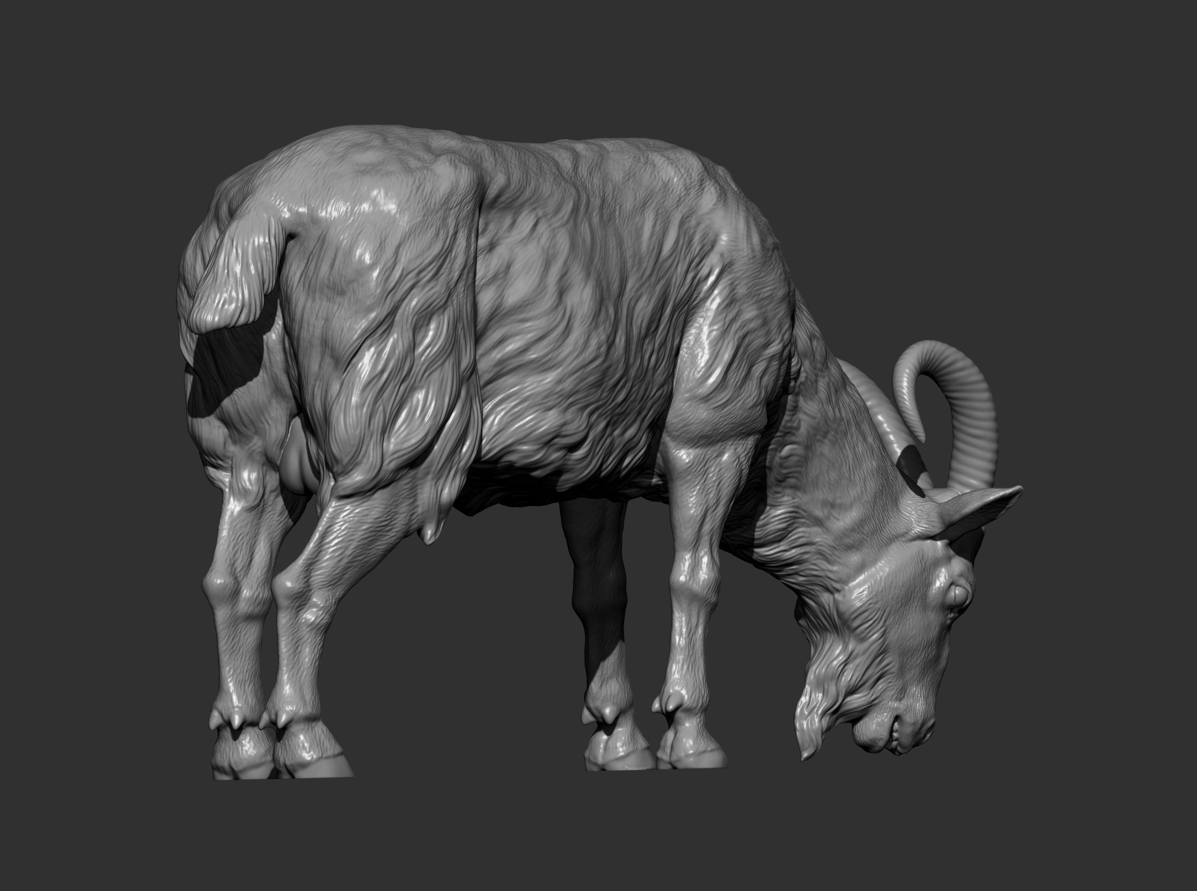 Goat eats  3D print model_7