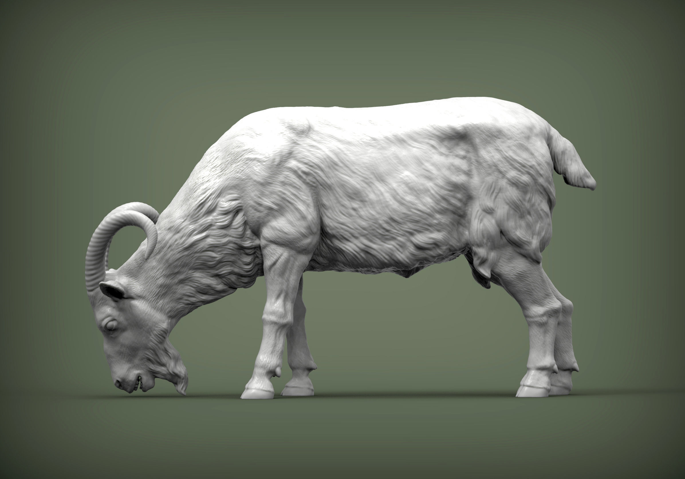 Goat eats  3D print model_1