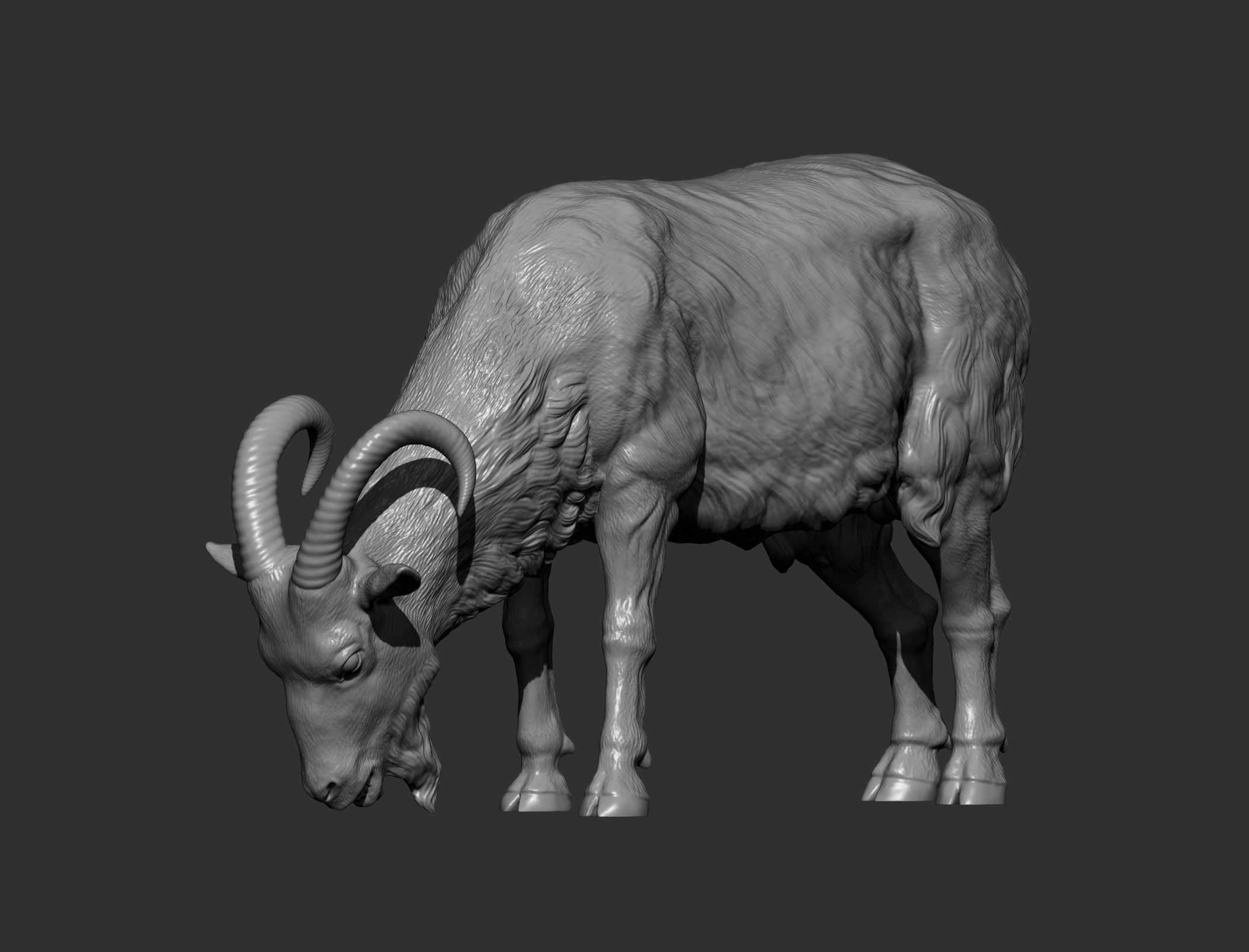 Goat eats  3D print model_9