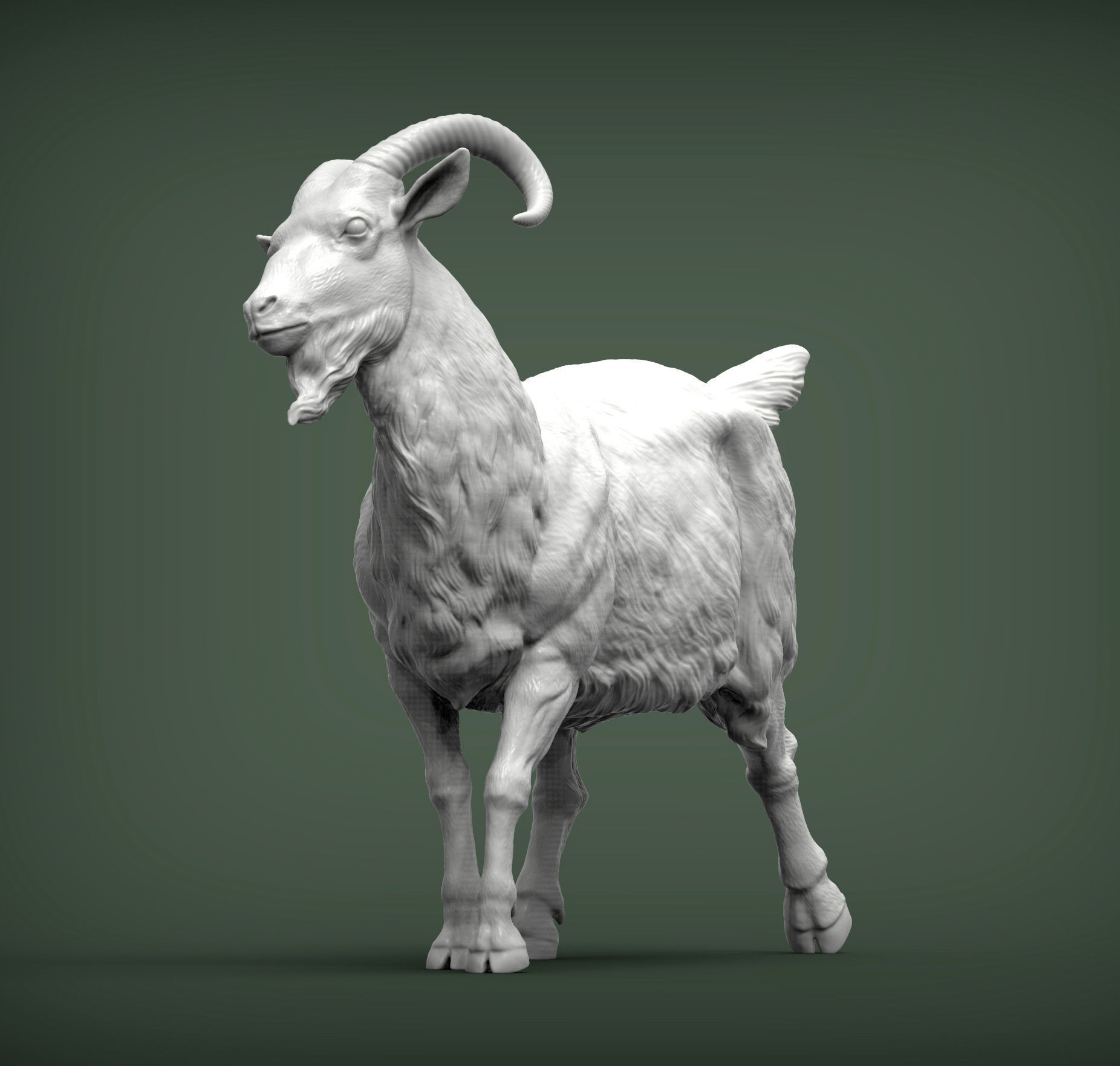 Goat 3D print model 3D print model_1